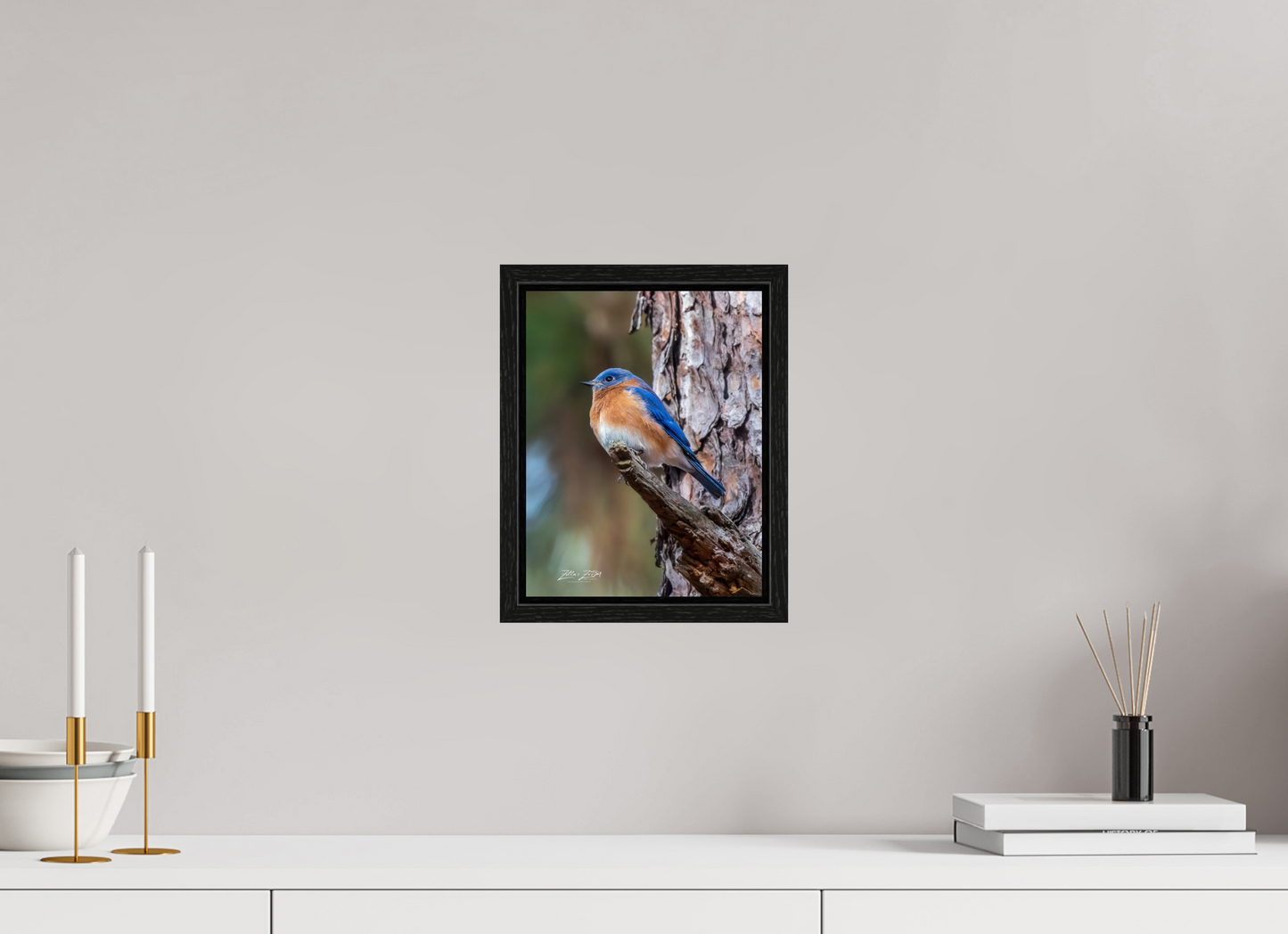 8 x 10.4″, Floater Frame Zillas Zoom Image 512