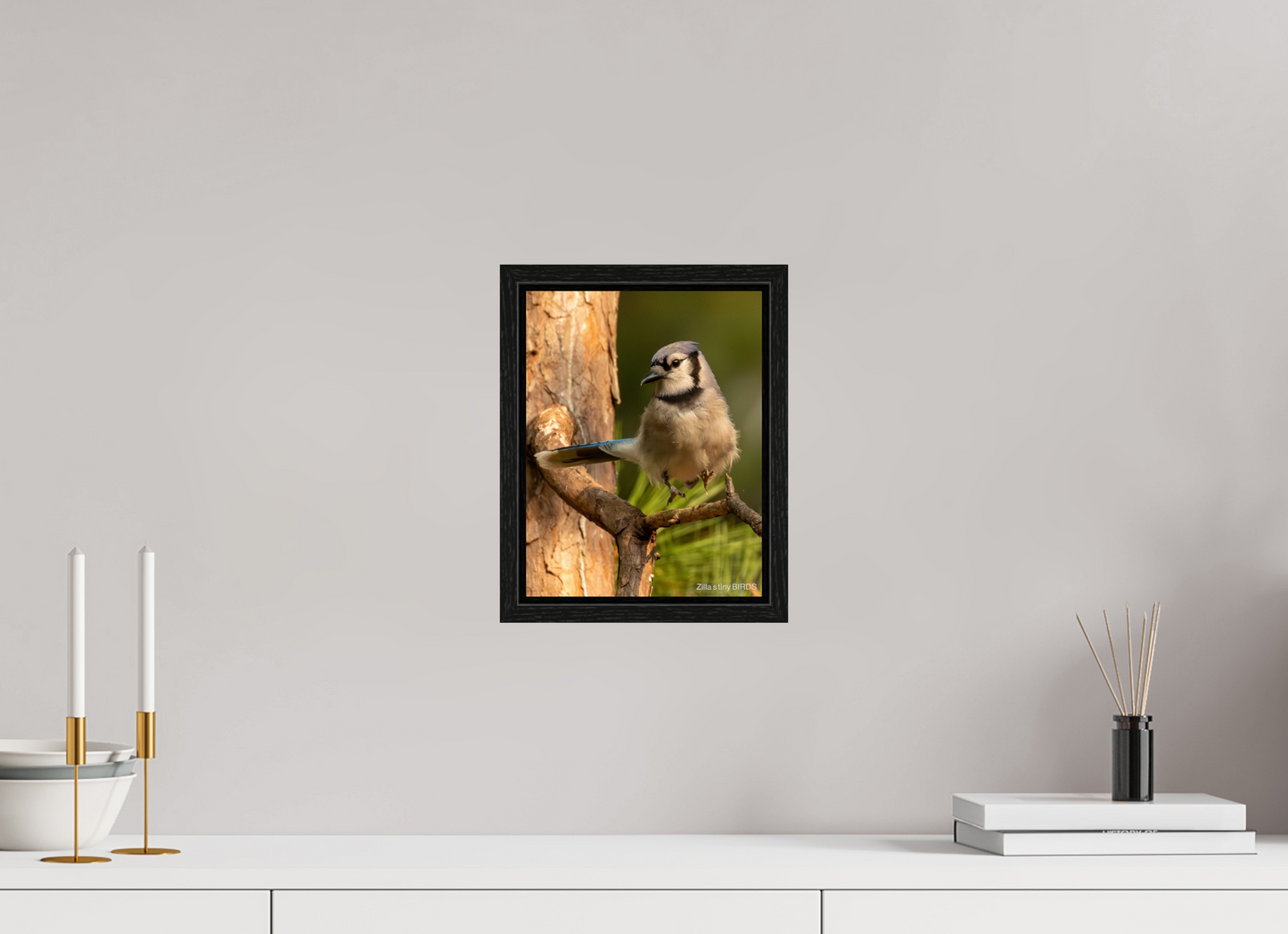8 x 10.4″, Floater Frame Zillas Zoom Image 520