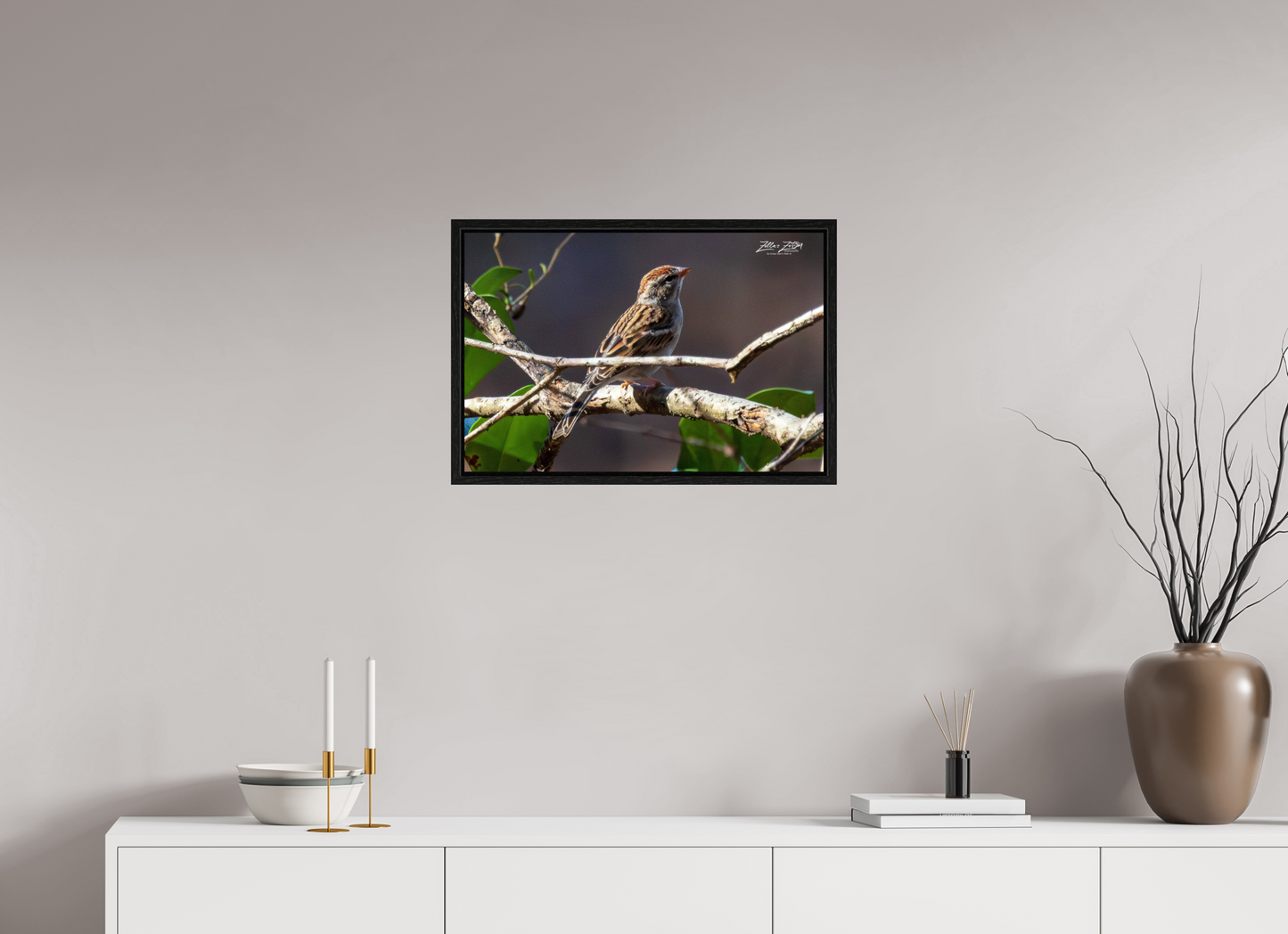 24 x 16″, Floater Frame Zillas Zoom Image 289
