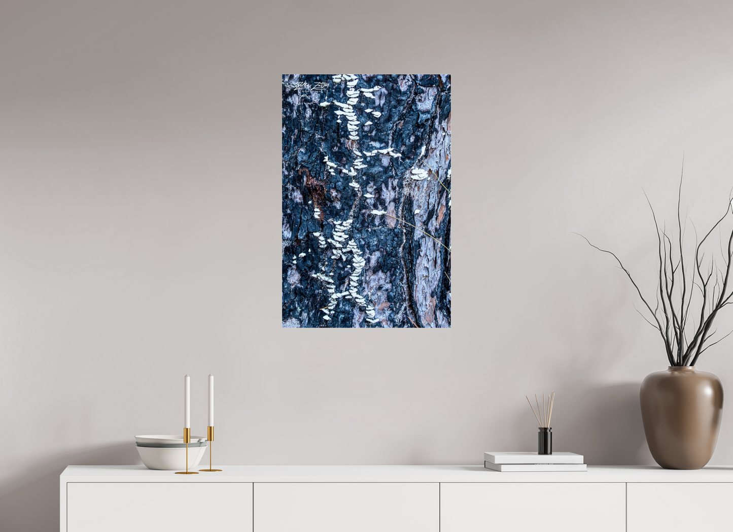 20 x 30″, Photo Print Under Acrylic Glass Zillas Zoom Image 114