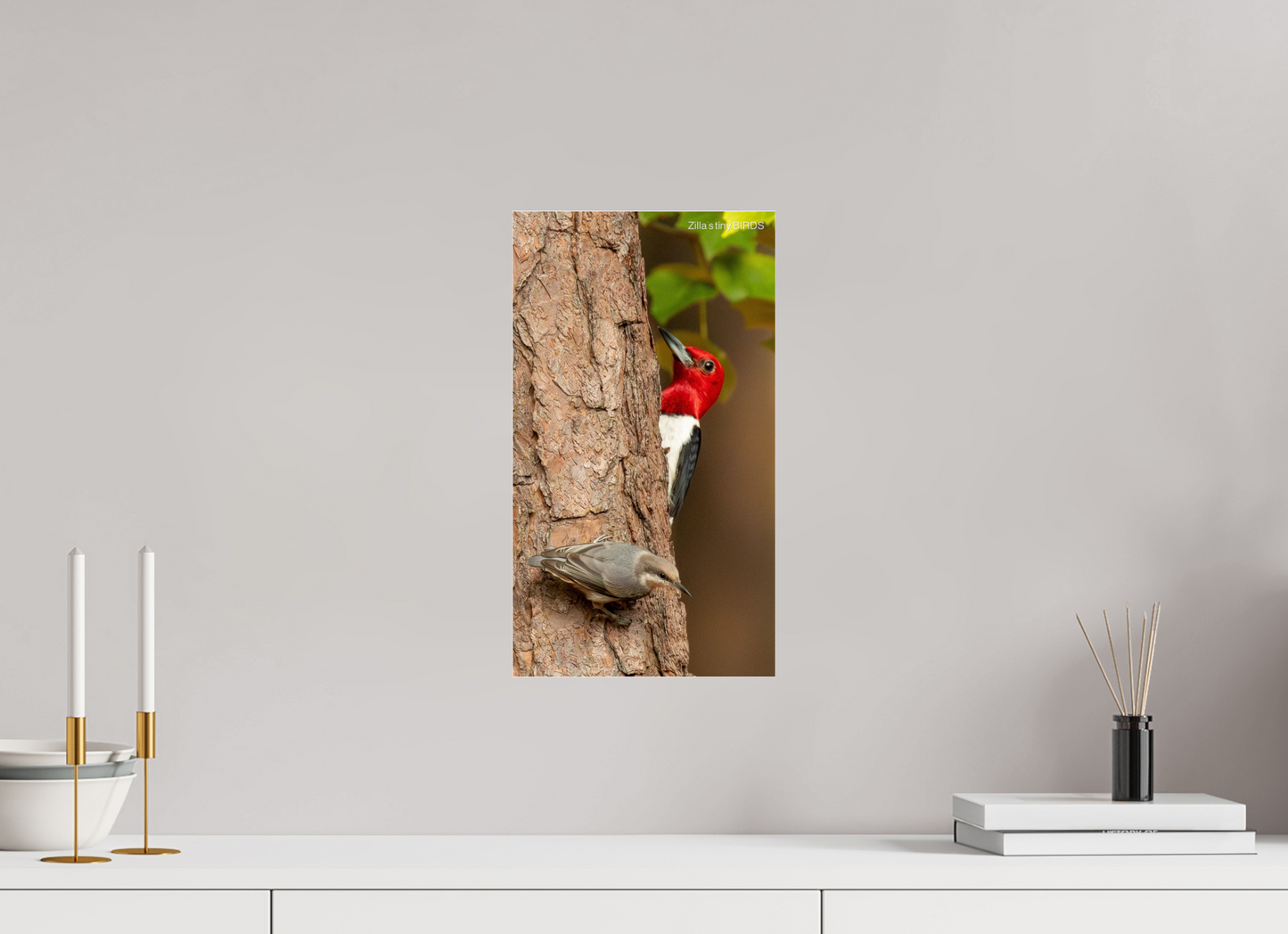 9 x 16″, Photo Print Under Acrylic Glass Zillas Zoom Image 490