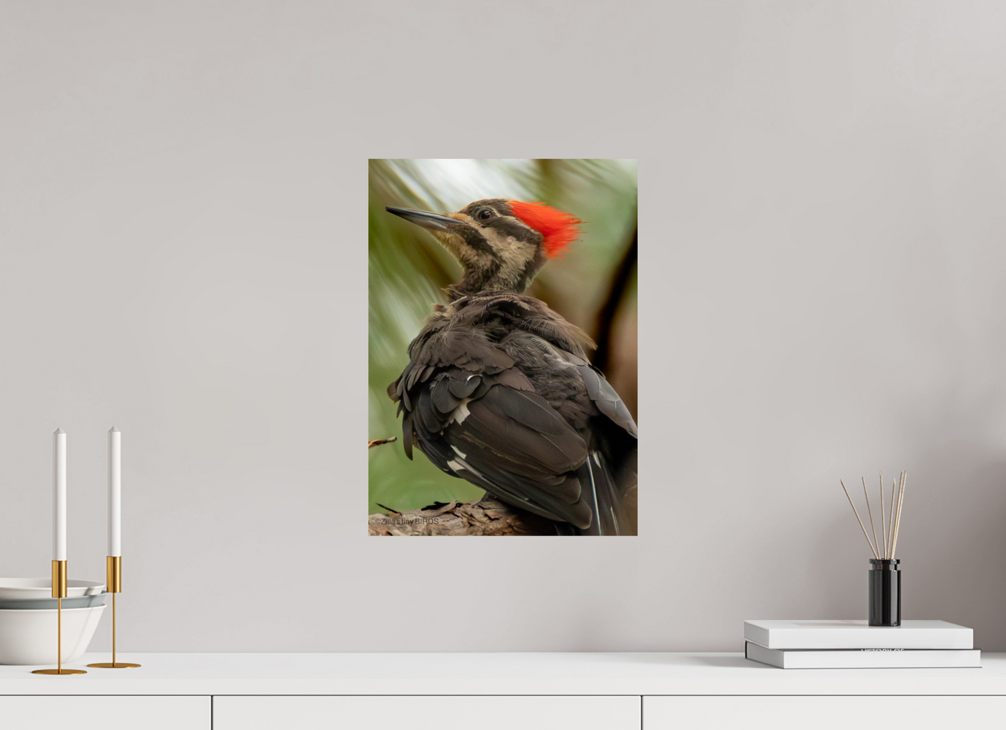 12 x 16.8″, Photo Print On Fuji Crystal DP II Zillas Zoom Image 443