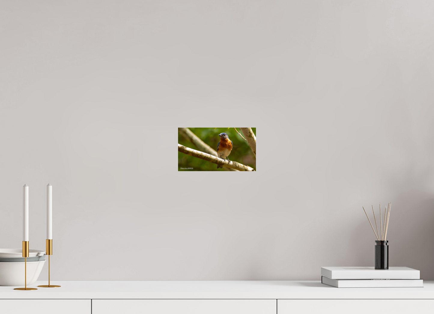 8 x 4.5″, Photo Print Under Acrylic Glass Zillas Zoom Image 373