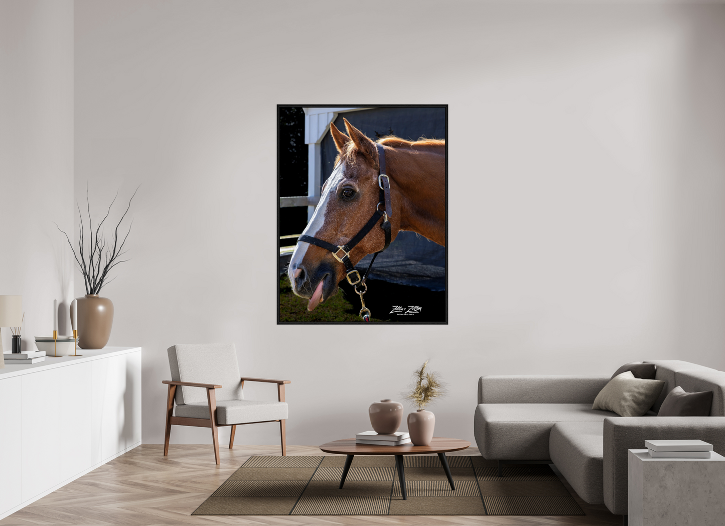 47 x 60.8″, Floater Frame Zillas zoom image 157