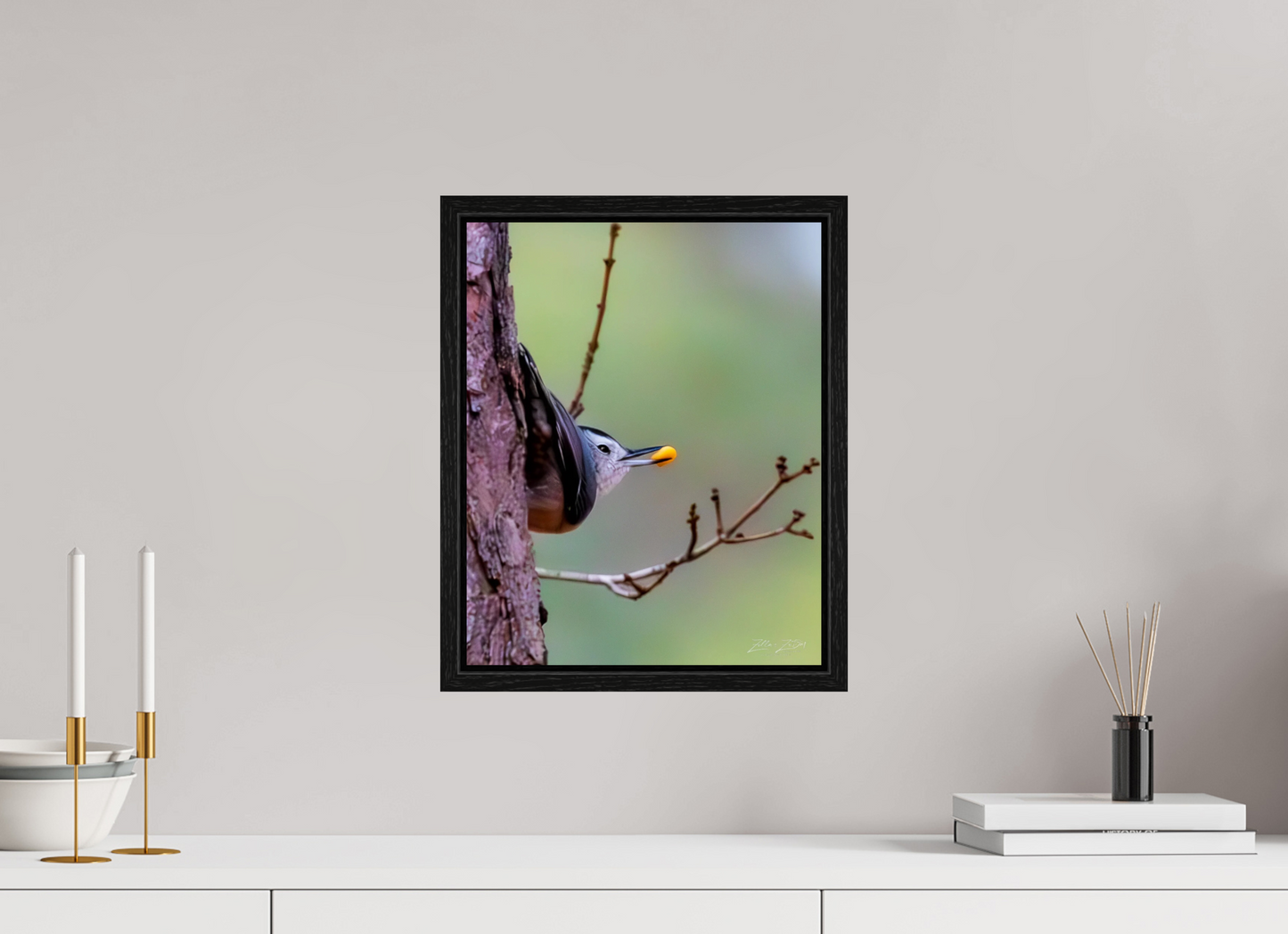 12 x 15″, Floater Frame Zillas Zoom Image 503