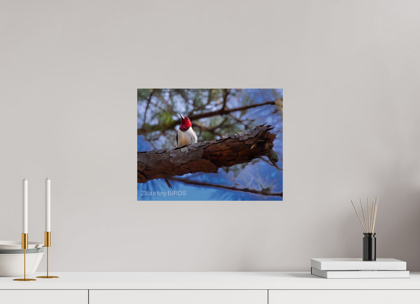 15.6 x 12″, Photo Print On Fuji Crystal DP II Zillas Zoom Image 375