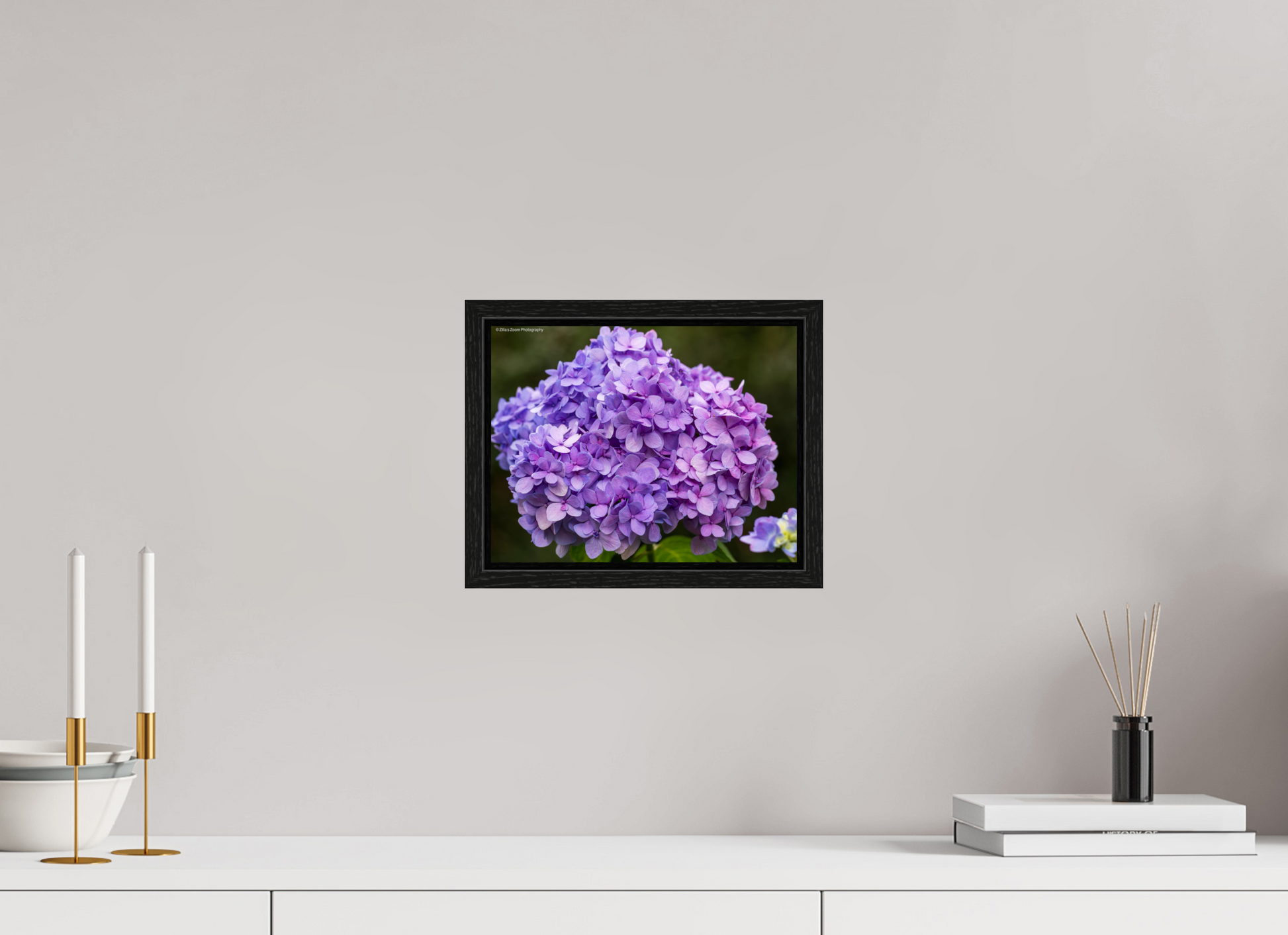 10.4 x 8″, Floater Frame Zillas Zoom Image 95
