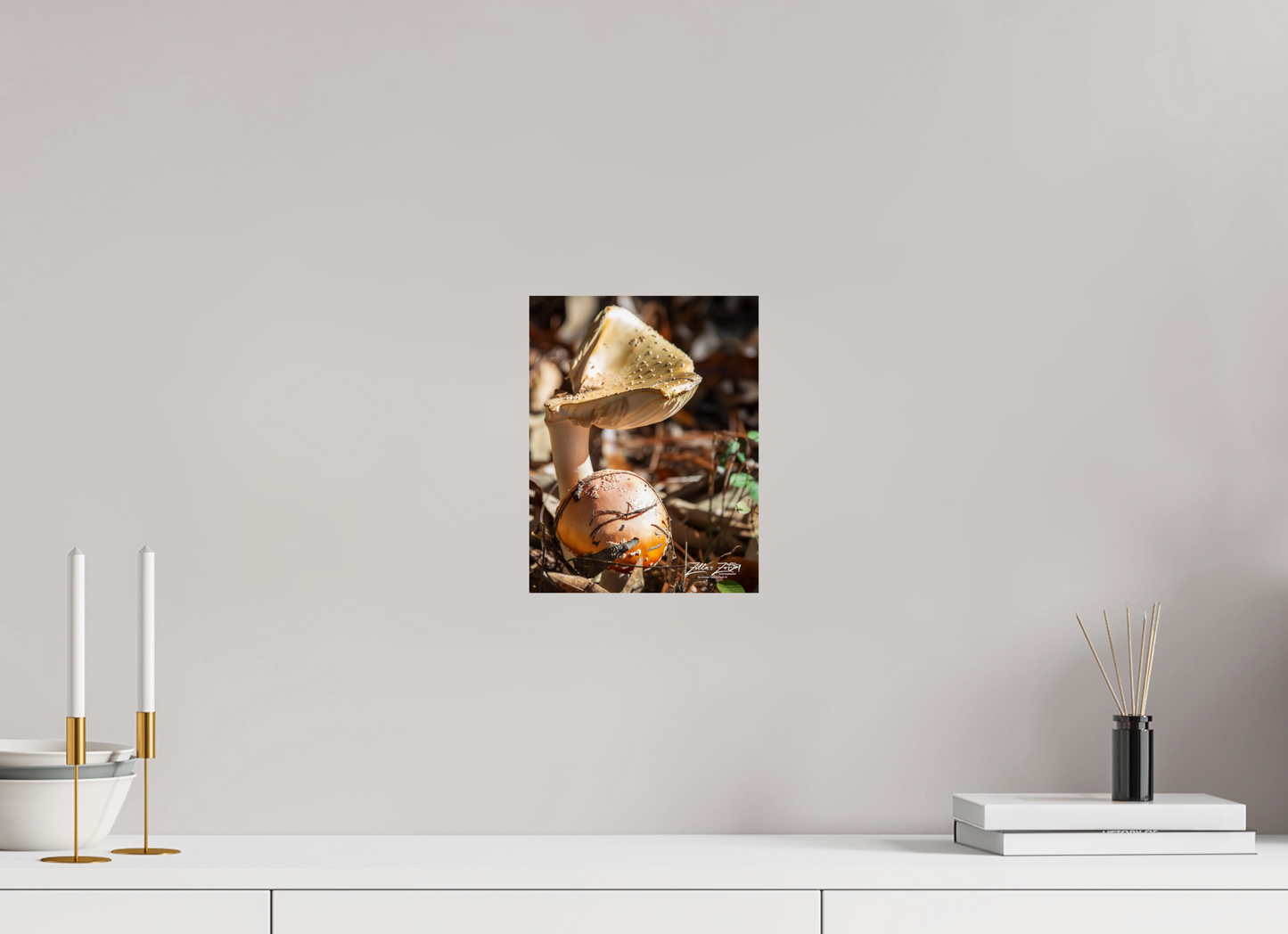 8 x 10.4″, Photo Print On Fuji Crystal DP II Zillas Zoom Image 116