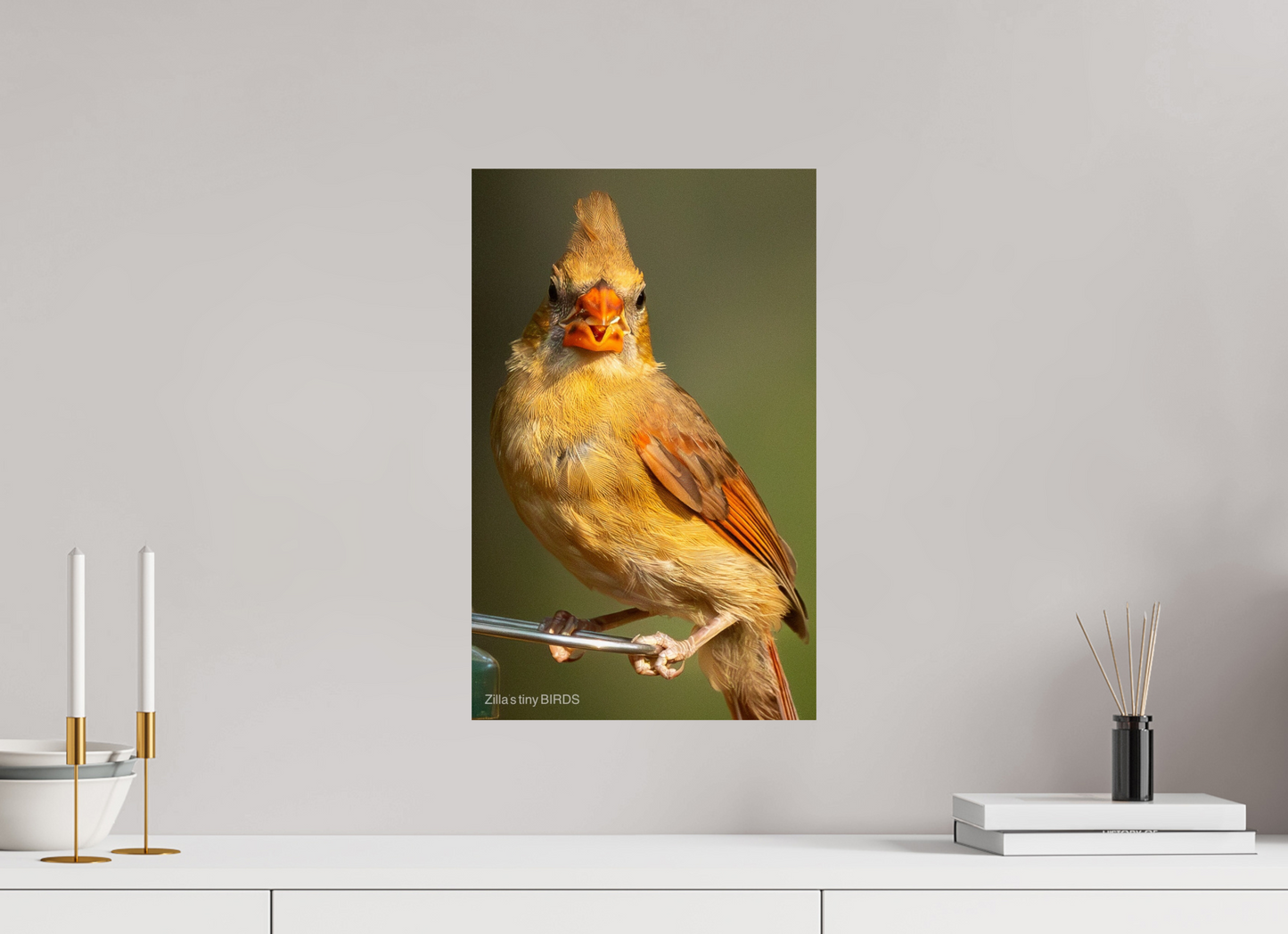 12 x 19.2″, Photo Print On Fuji Crystal DP II Zillas Zoom Image 509