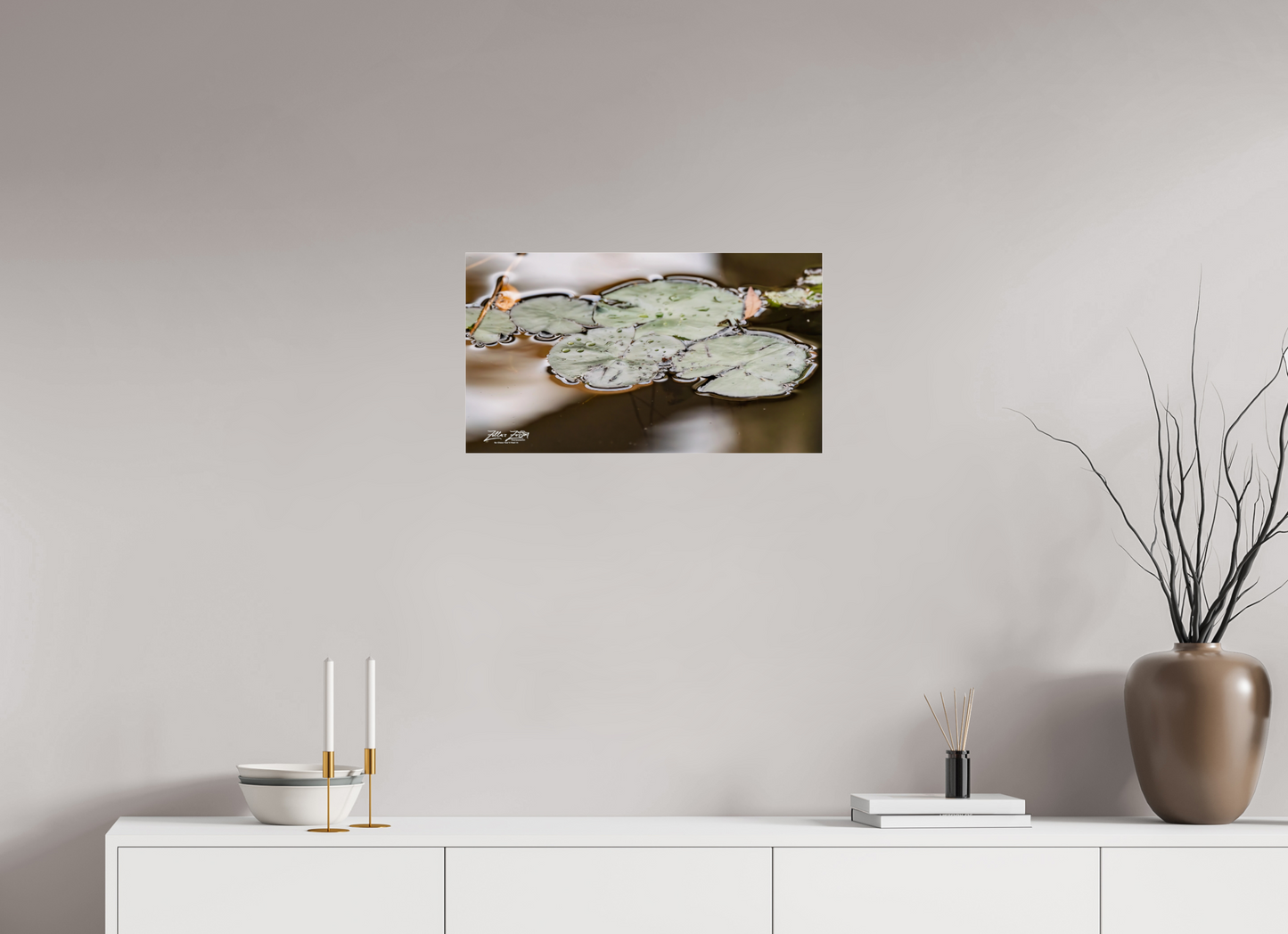 24 x 13.5″, Photo Print Under Acrylic Glass Zillas Zoom Image 89