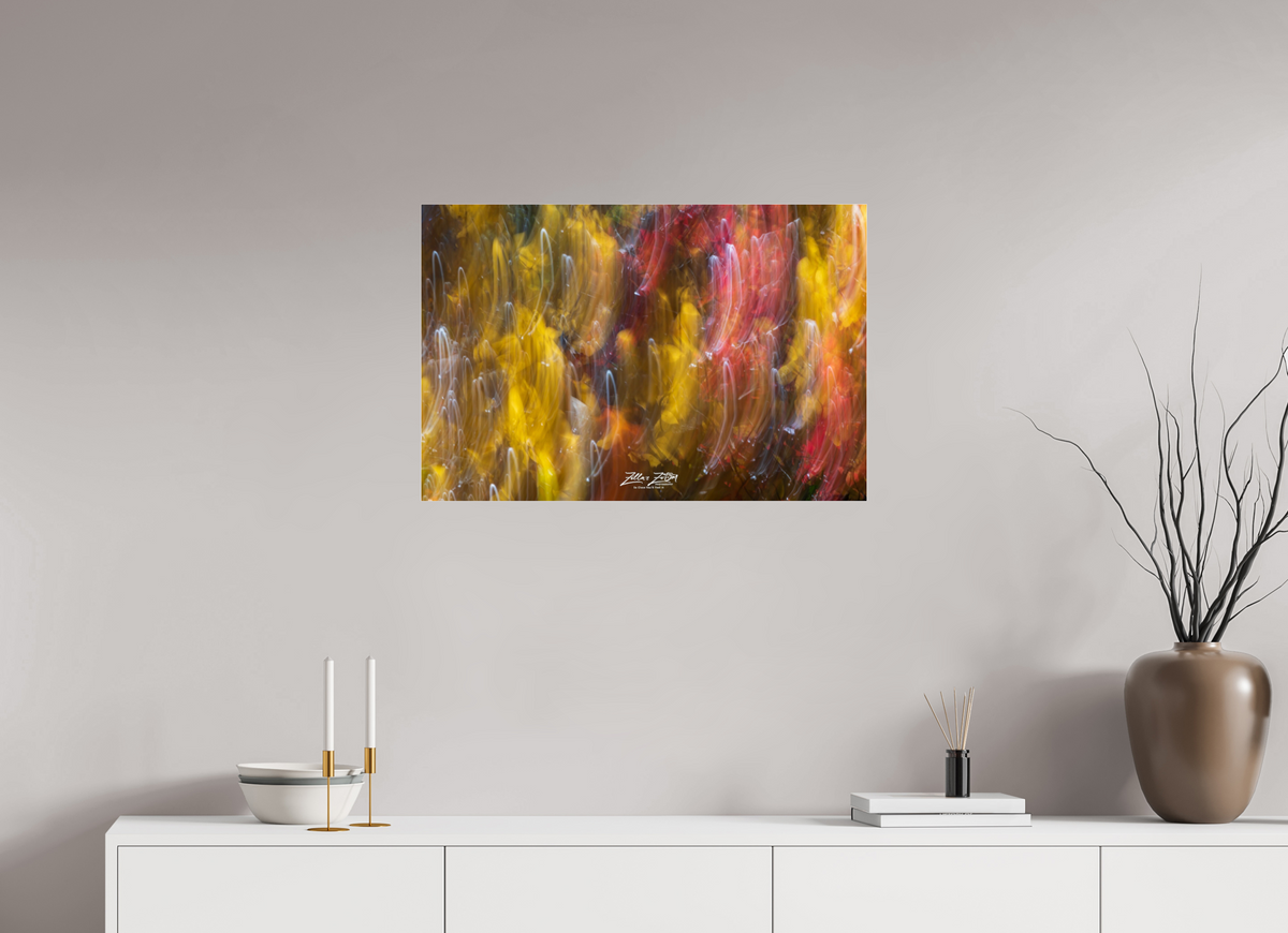 30 x 20″, Photo Print Under Acrylic Glass Zillas Zoom Image 13