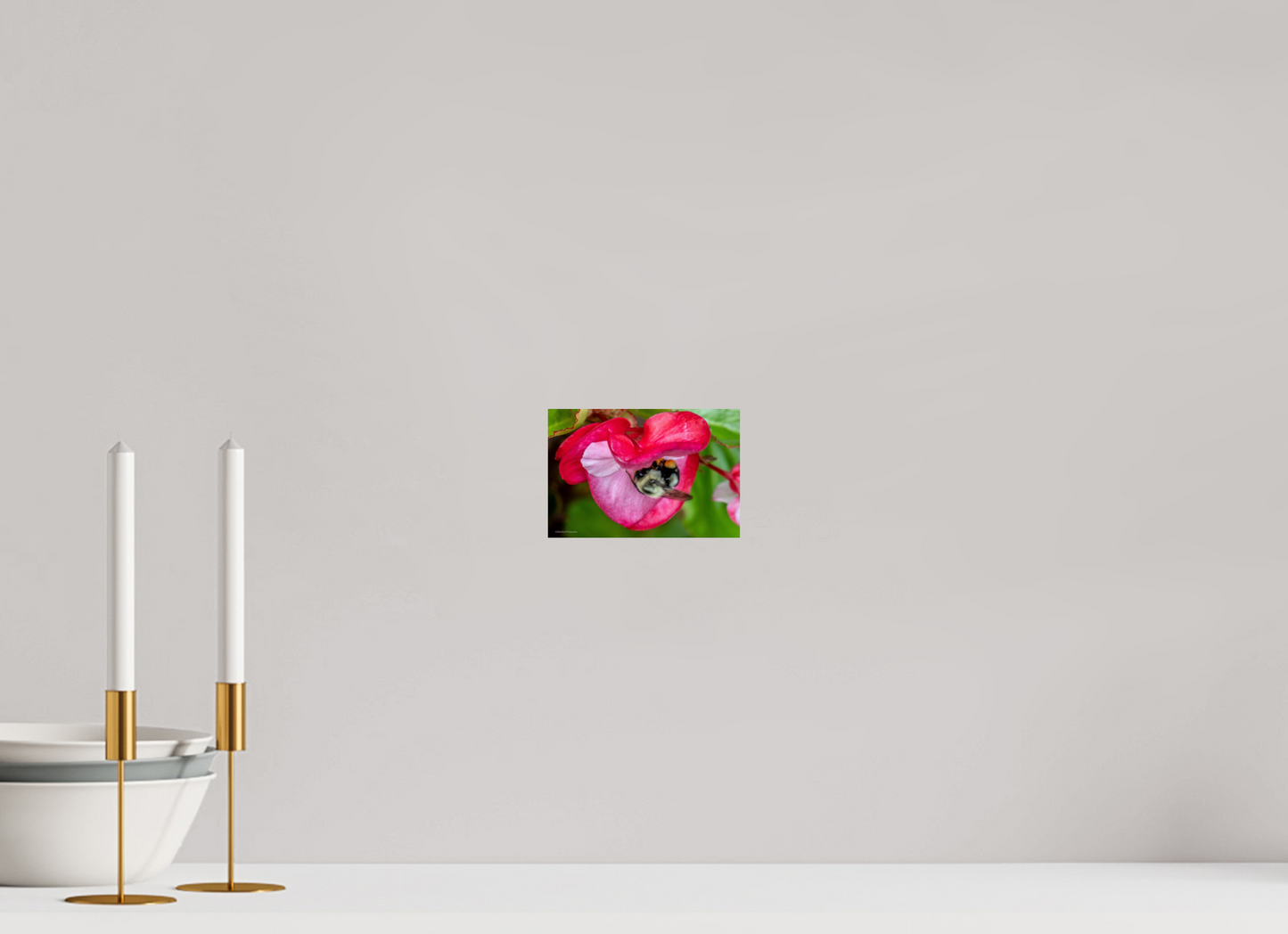 6 x 4″, Photo Print On Fuji Crystal DP II Zillas Zoom Image 101