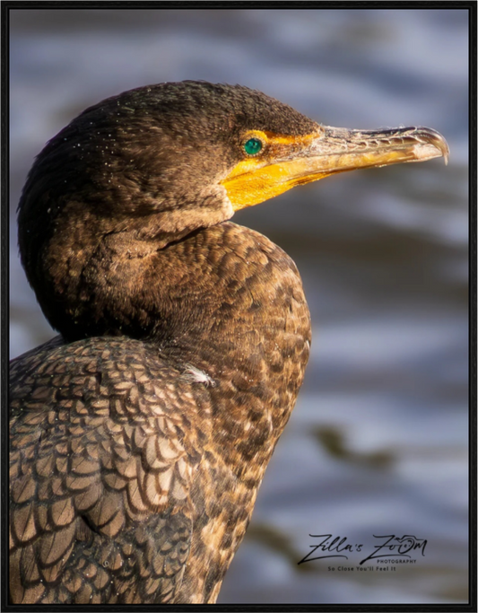 Main image Zillas Zoom Image 398
