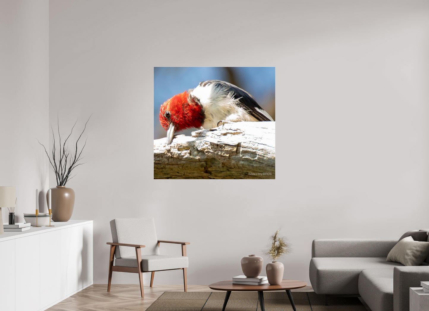 46.4 x 43″, Photo Print Under Acrylic Glass Zillas Zoom Image 270