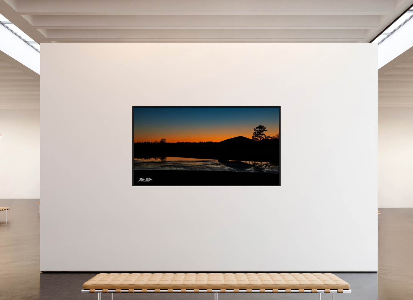 88.6 x 47″, Floater Frame Zillas Zoom Image 75