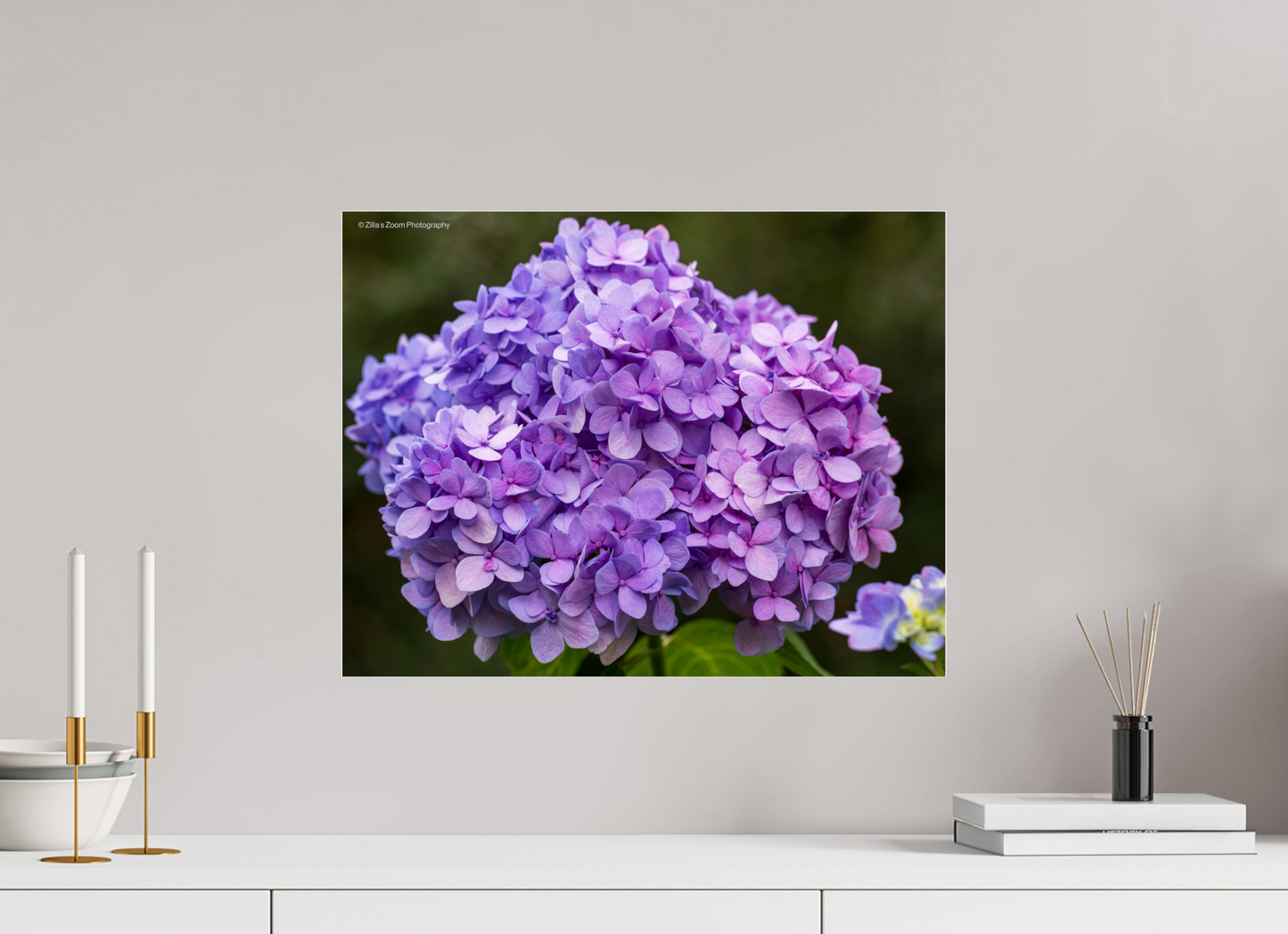 20.7 x 16″, Photo Print Under Acrylic Glass Zillas Zoom Image 95