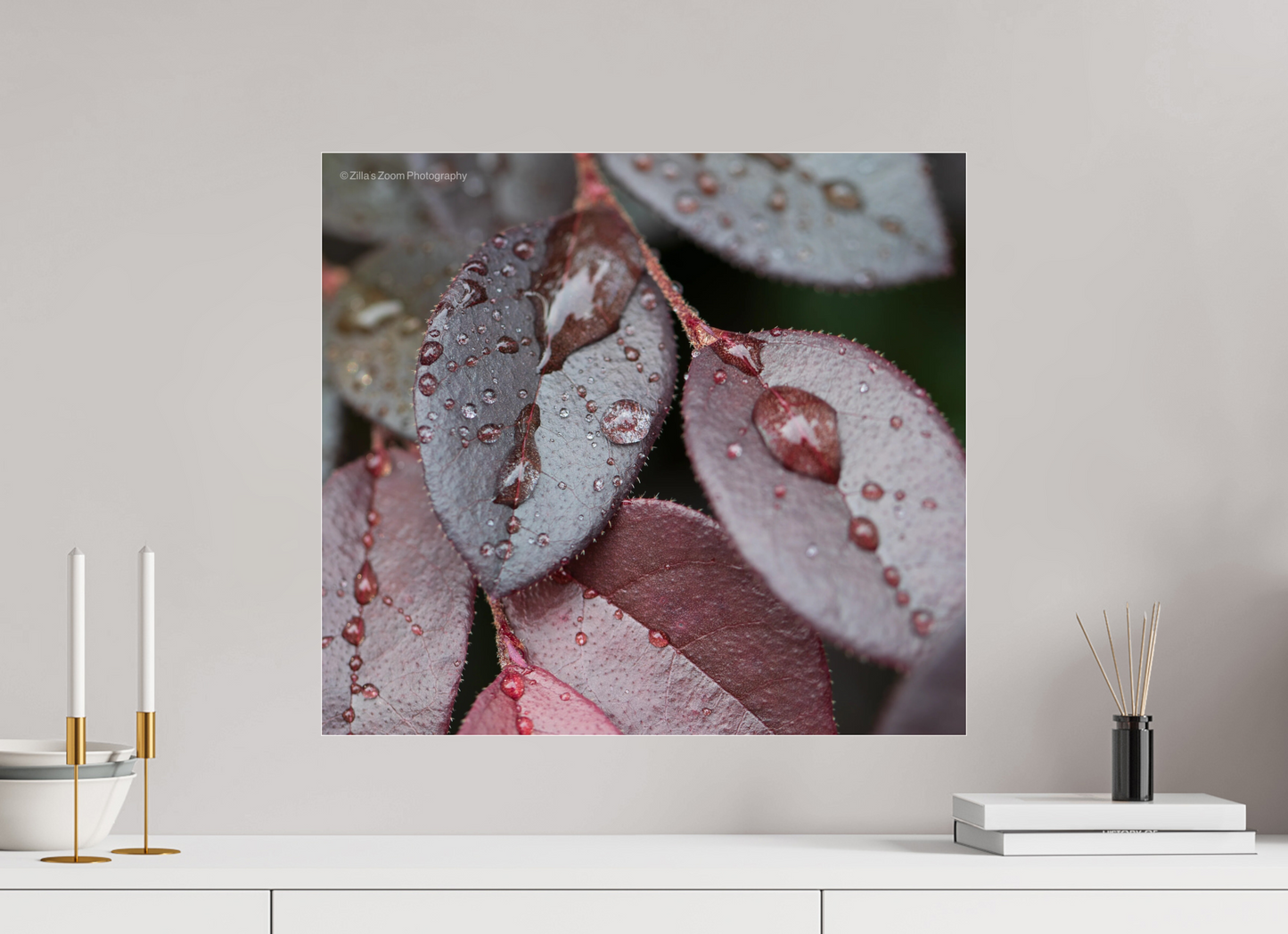 22.1 x 20″, Photo Print Under Acrylic Glass Zillas Zoom Image 99