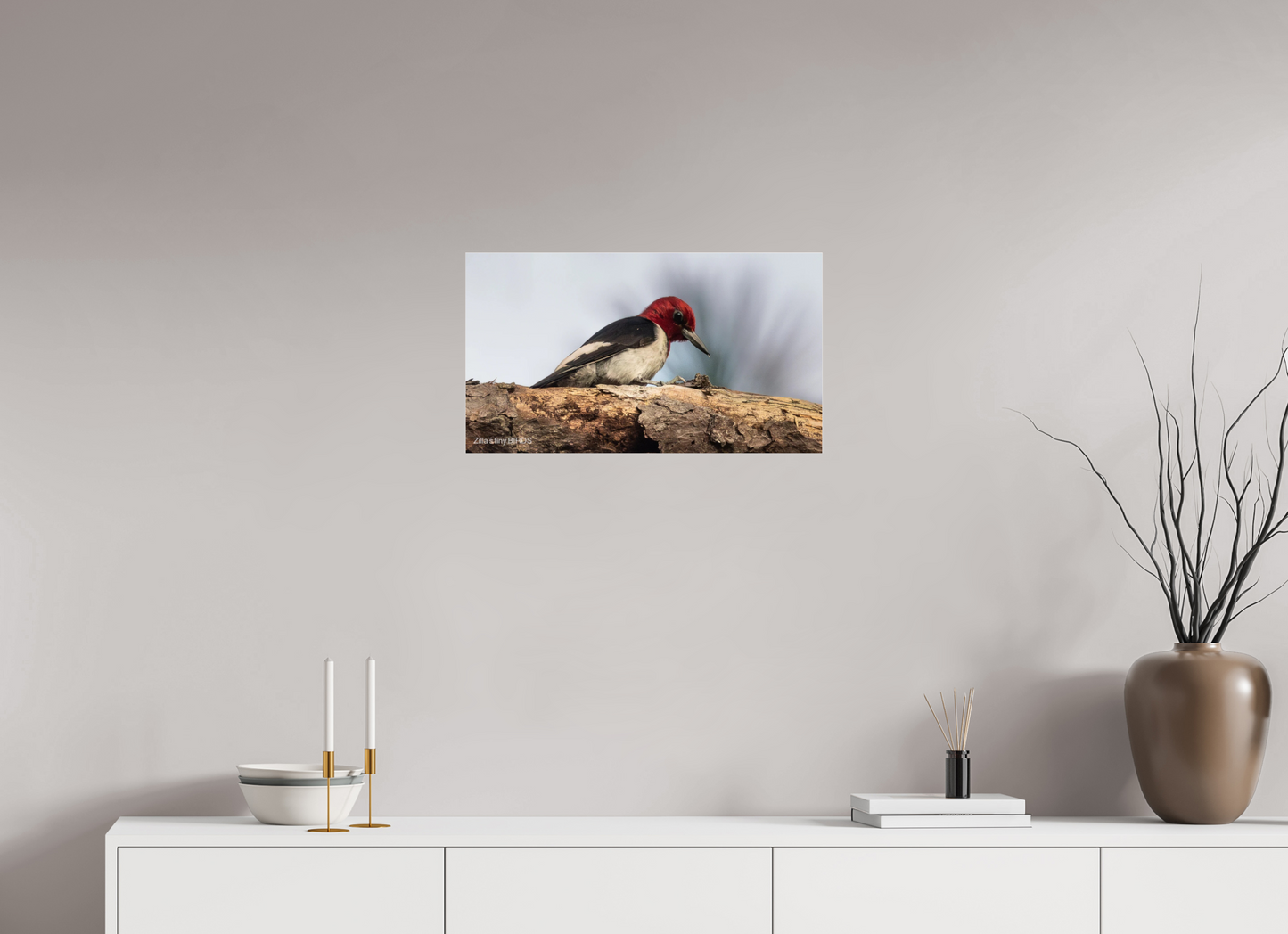 24 x 13.5″, Photo Print Under Acrylic Glass Zillas Zoom Image 391