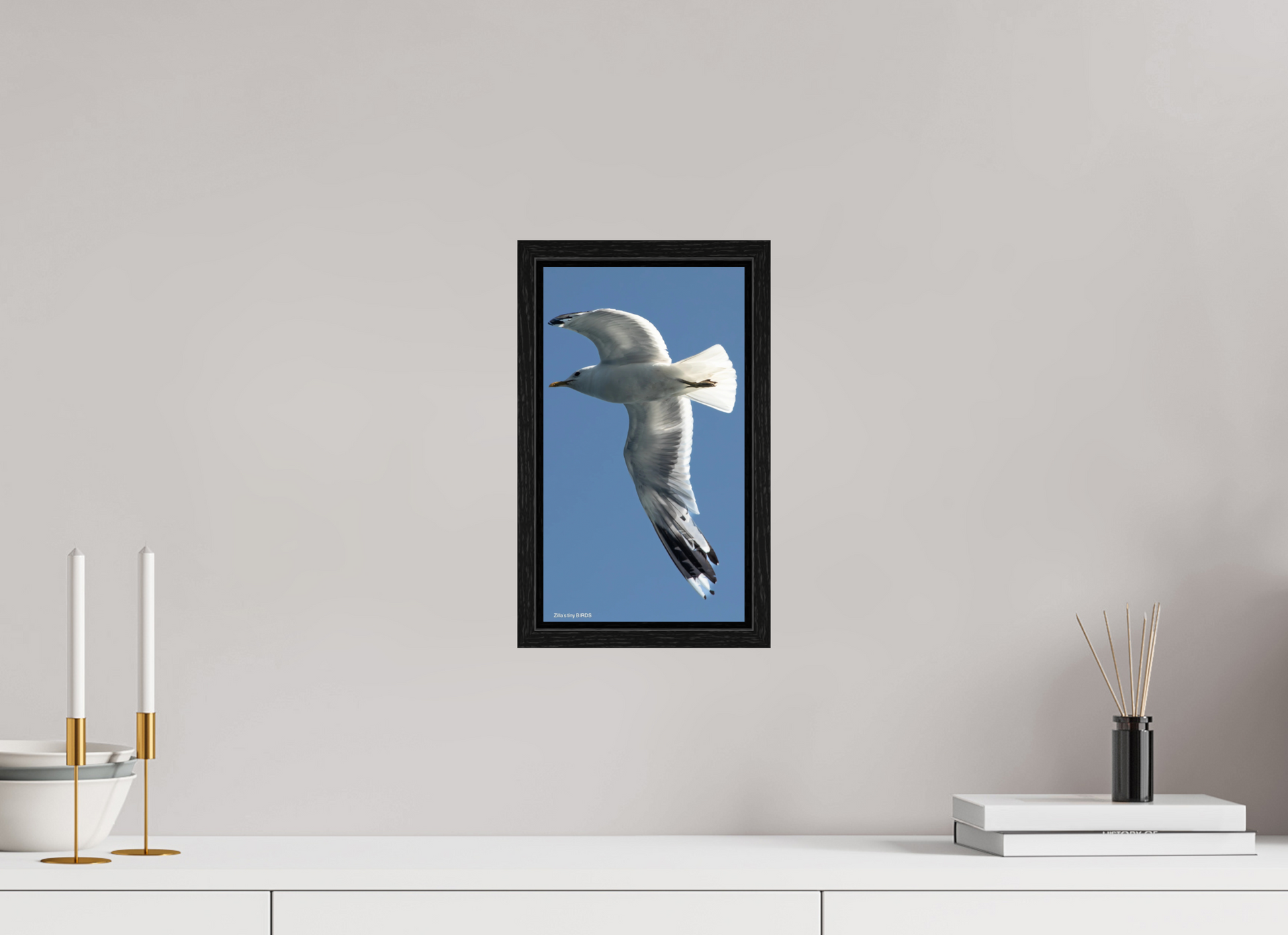 6.8 x 12″, Floater Frame Zillas Zoom Image 465