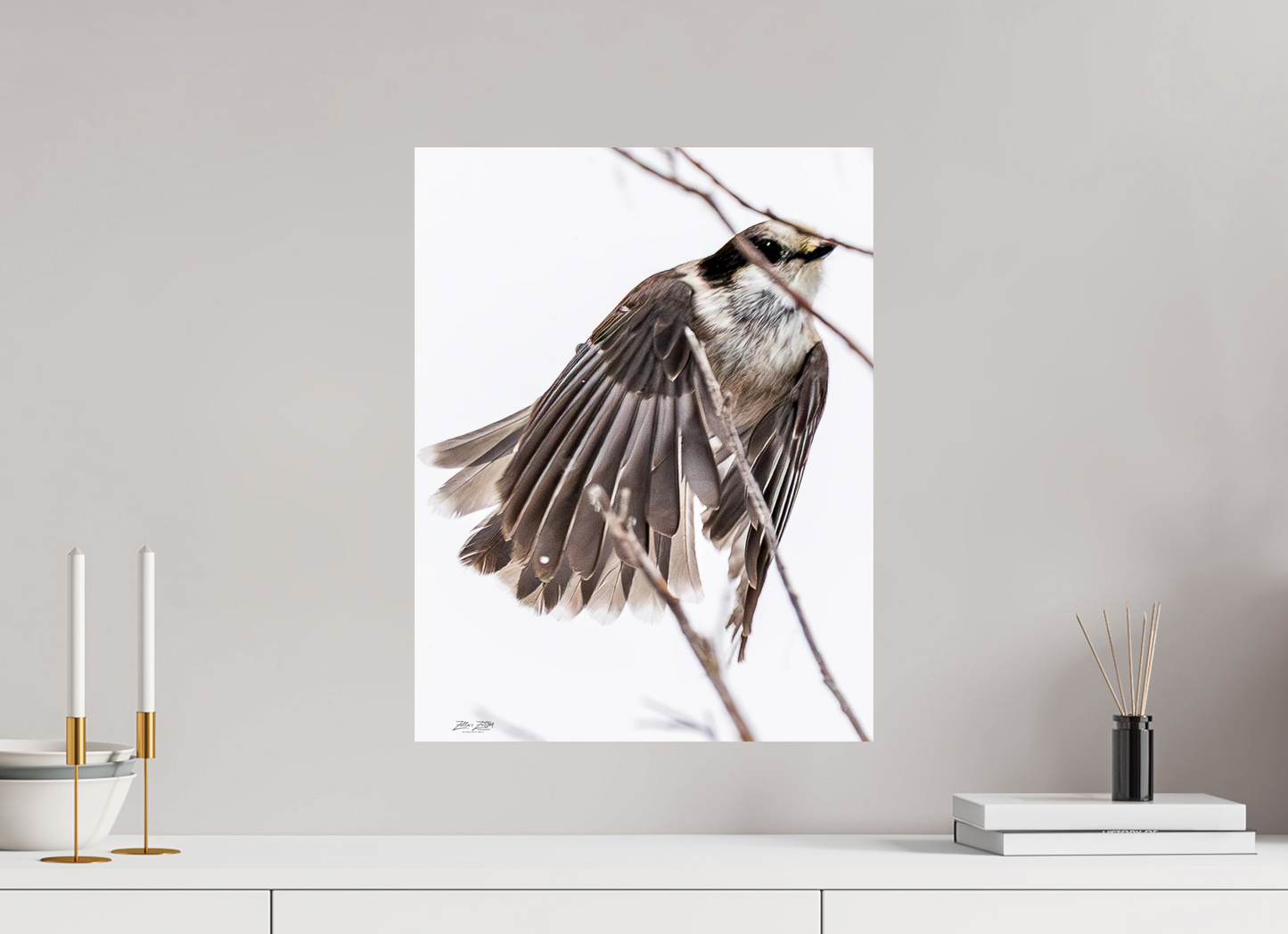 16 x 20.7″, Photo Print On Fuji Crystal DP II Zillas Zoom Image 507