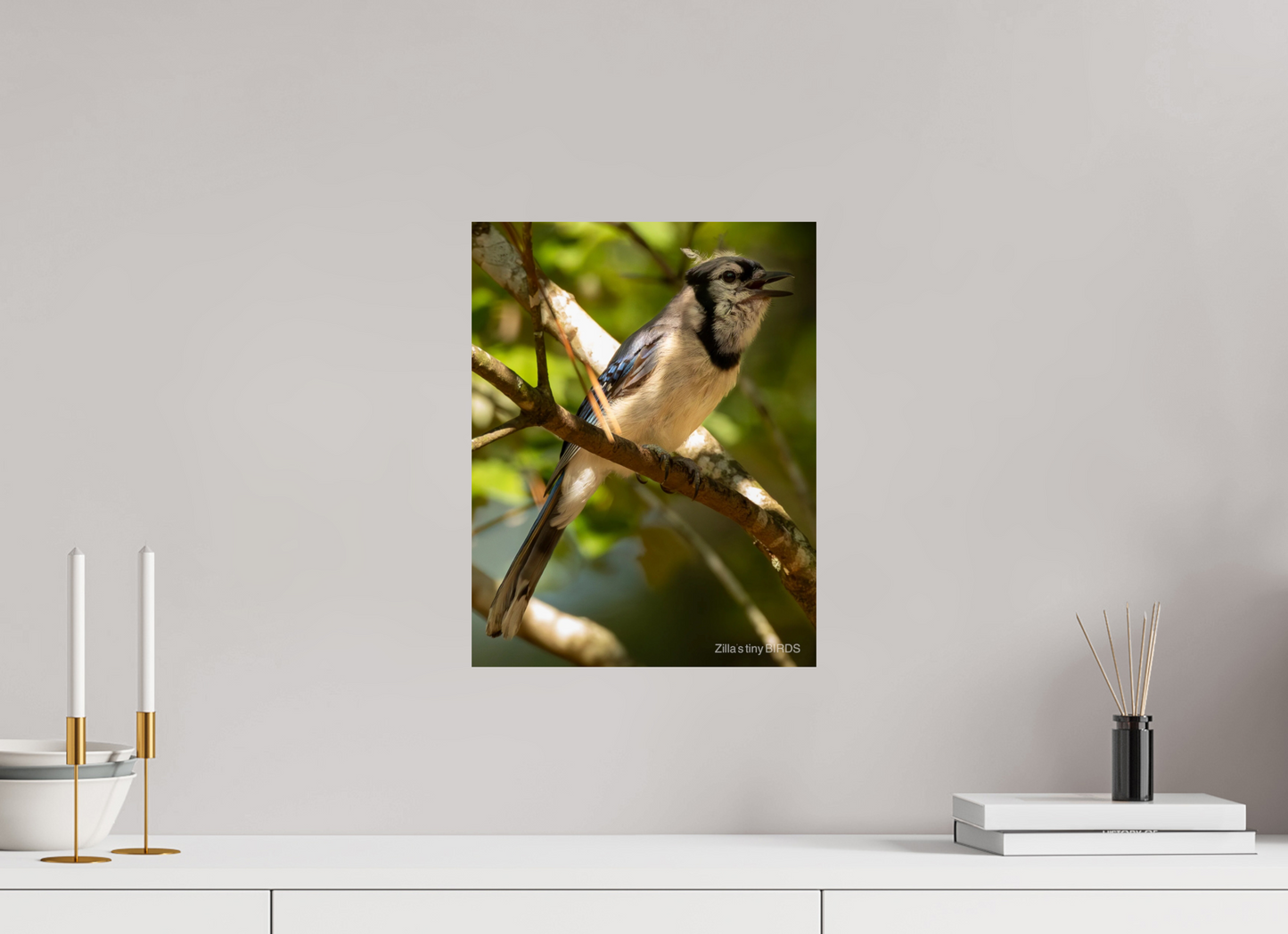 12 x 15.5″, Photo Print On Fuji Crystal DP II Zillas Zoom Image 517