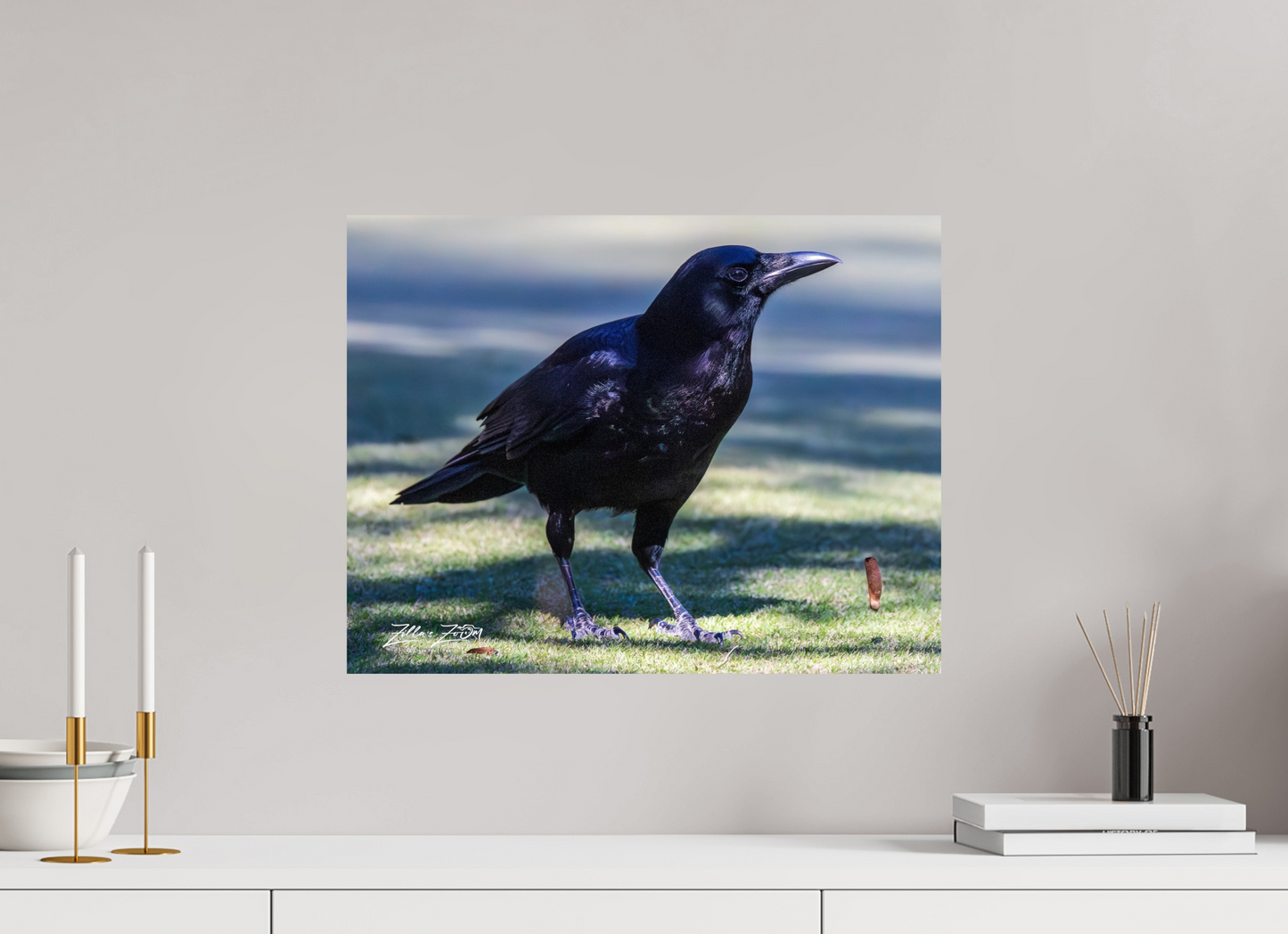 20.7 x 16″, Photo Print On Fuji Crystal DP II Zillas Zoom Image 322