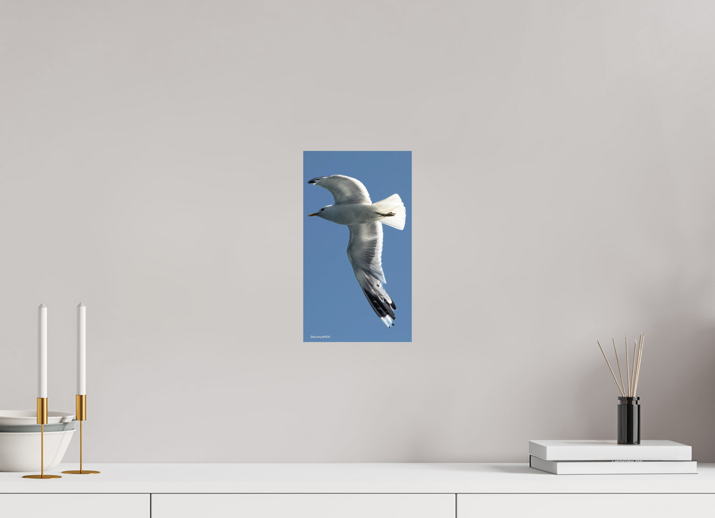6.8 x 12″, Photo Print On Fuji Crystal DP II Zillas Zoom Image 465