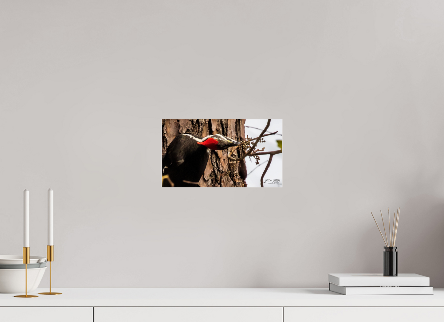 12 x 6.8″, Photo Print Under Acrylic Glass Zillas Zoom Image 283