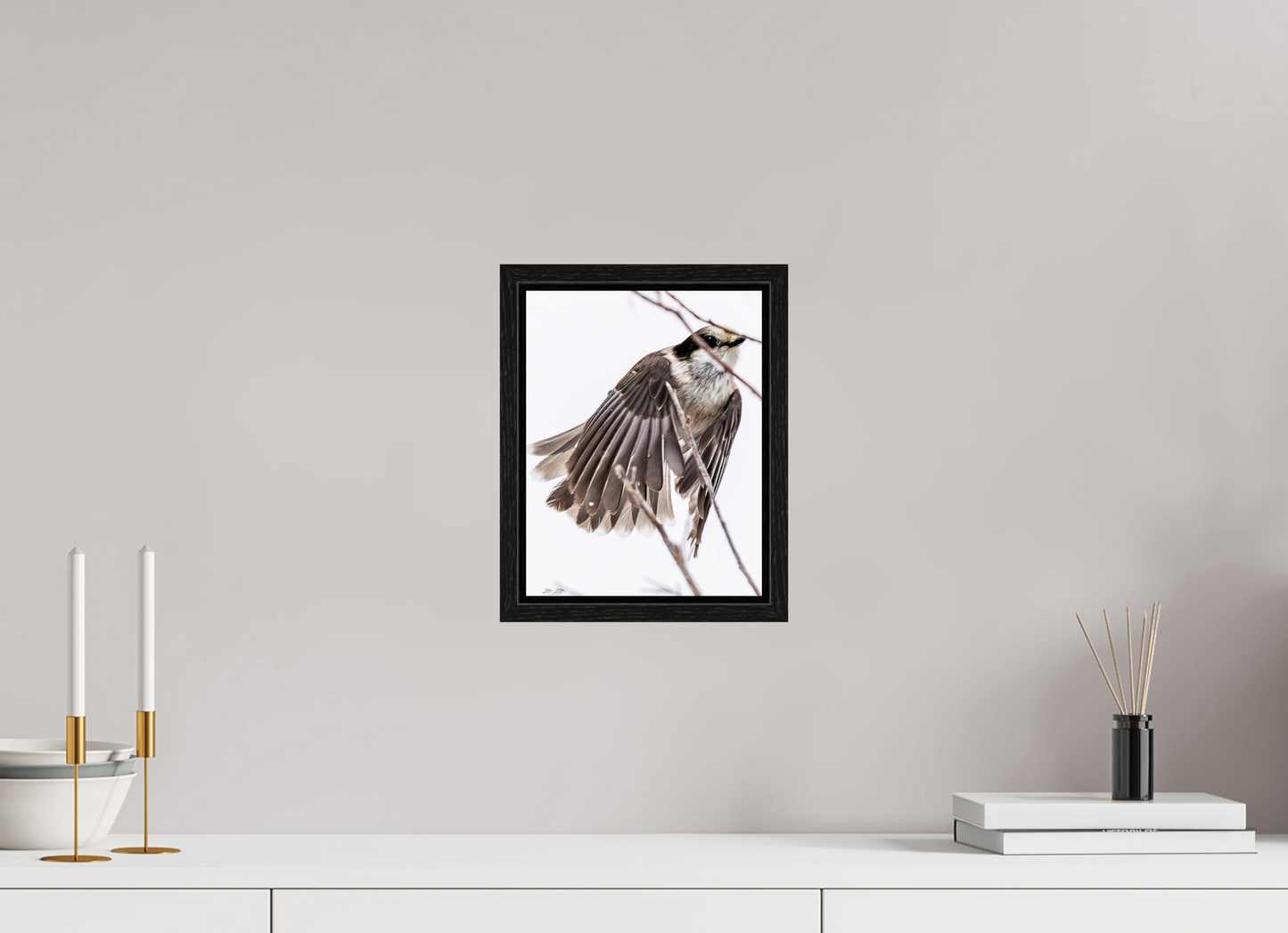 8 x 10.4″, Floater Frame Zillas Zoom Image 507