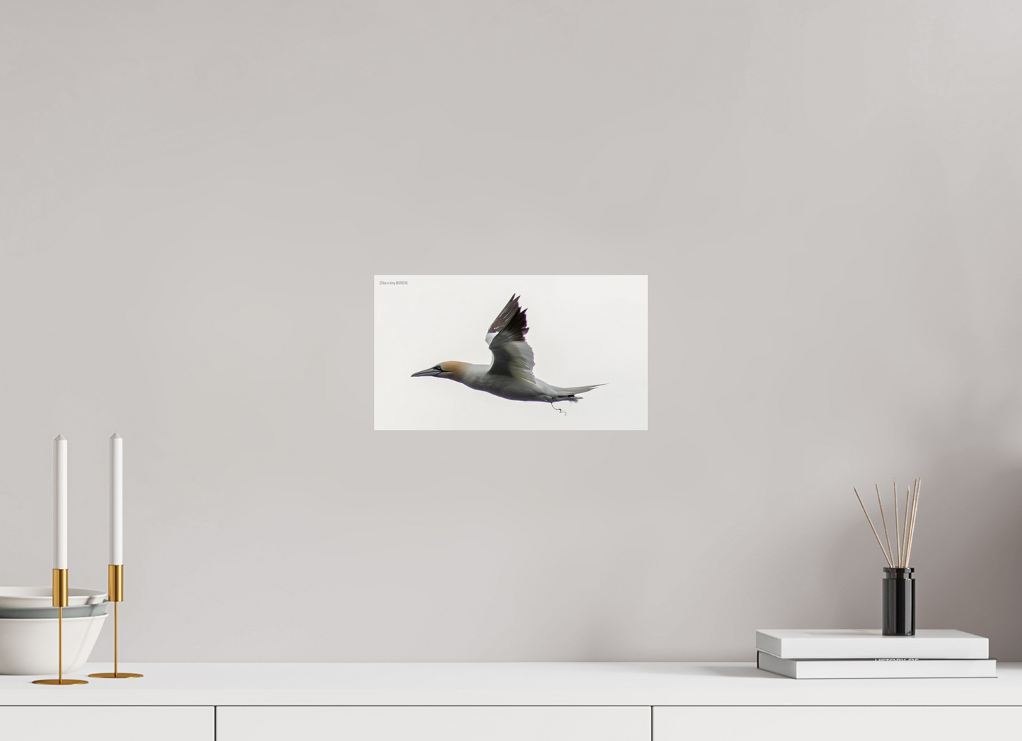 12 x 6.8″, Photo Print On Fuji Crystal DP II Zillas Zoom Image 331