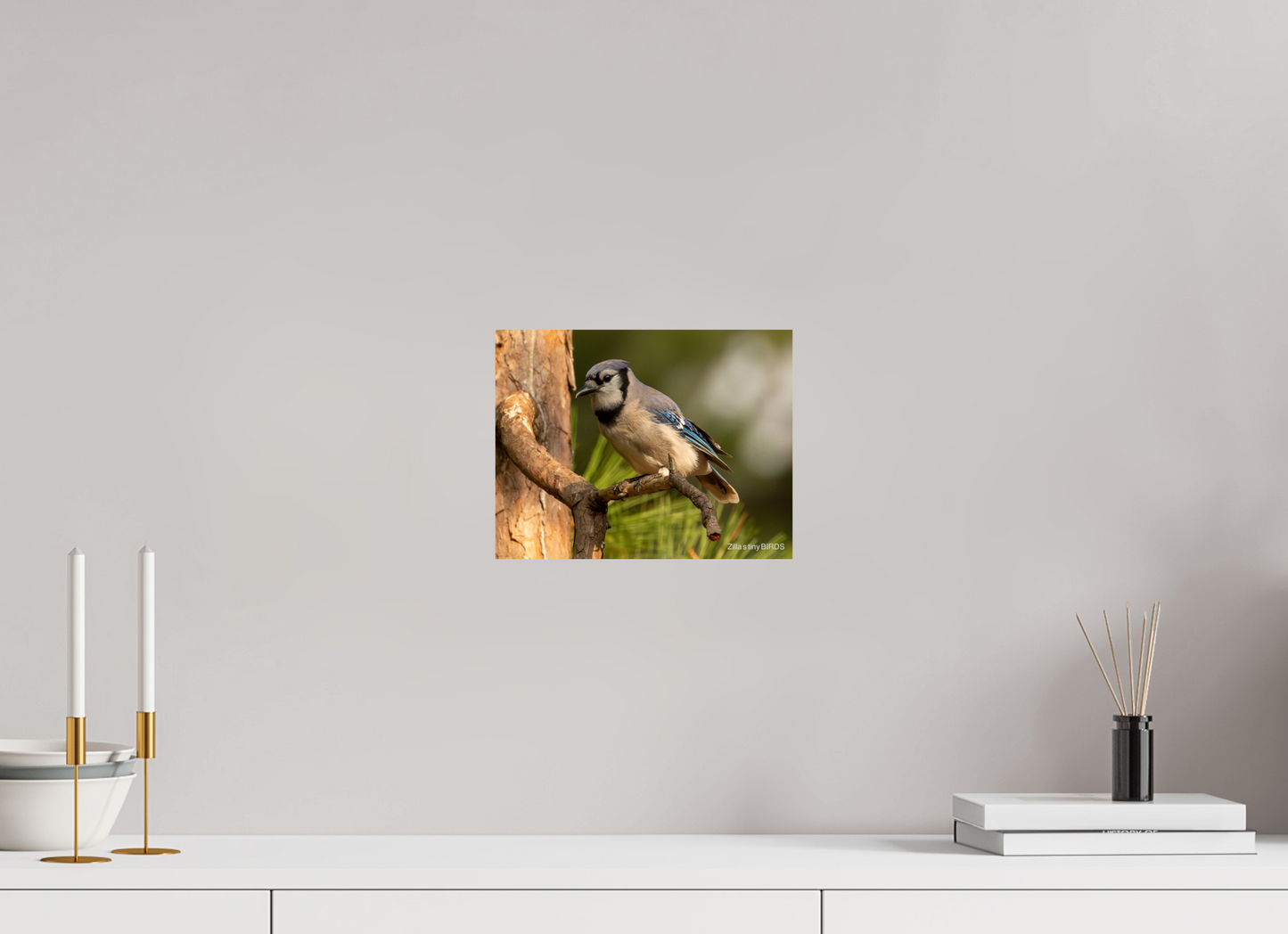 10.4 x 8″, Photo Print On Fuji Crystal DP II Zillas Zoom Image 386