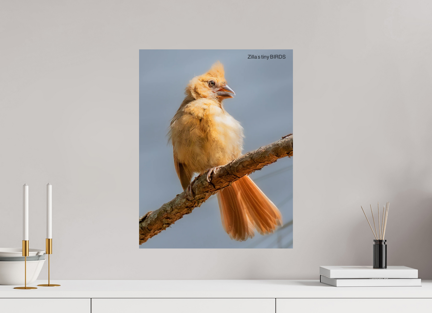 16 x 20.7″, Photo Print On Fuji Crystal DP II Zillas Zoom Image 508