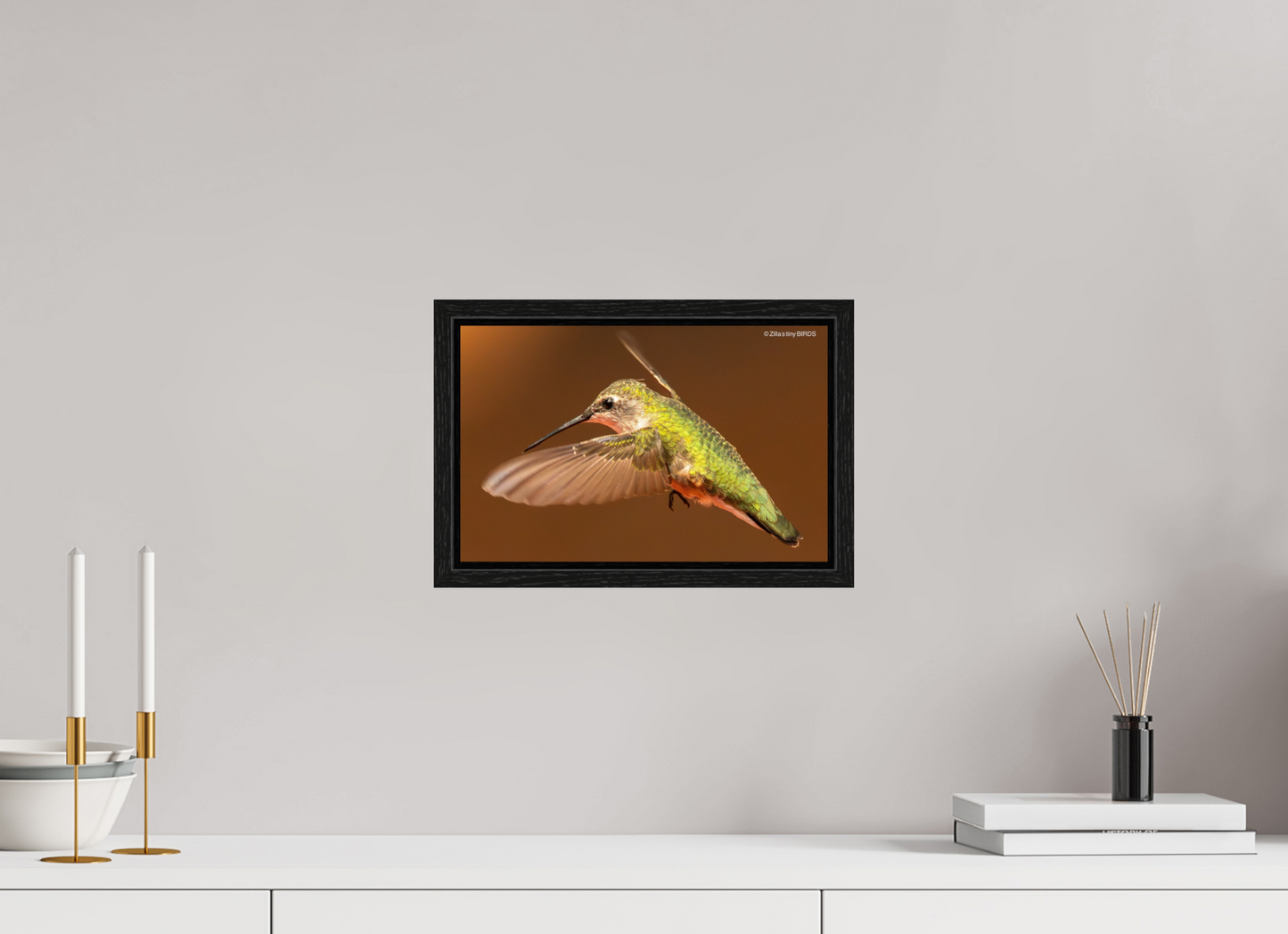 12.4 x 8″, Floater Frame Zillas Zoom Image 330