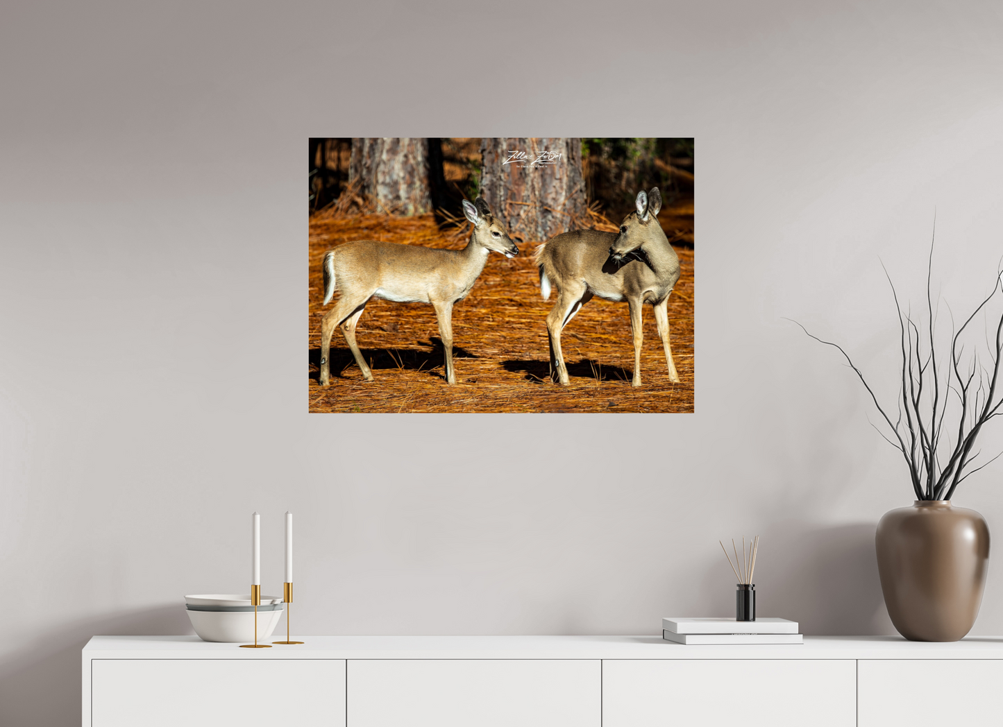 33.6 x 24″, Photo Print On Fuji Crystal DP II Zillas zoom image 143