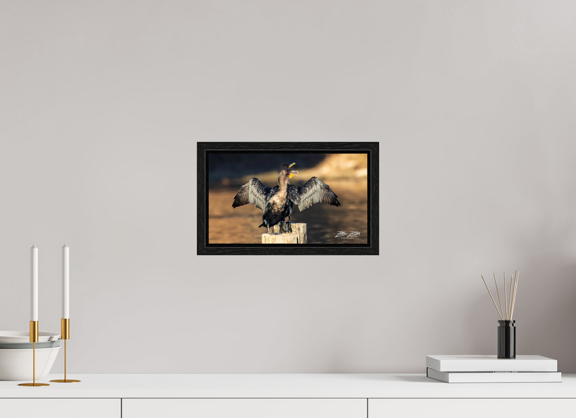 12 x 6.8″, Floater Frame Zillas Zoom Image 294