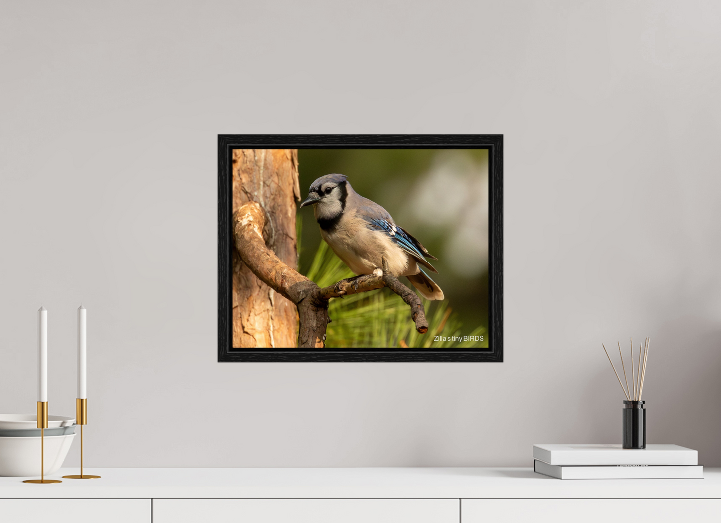 15.5 x 12″, Floater Frame Zillas Zoom Image 386