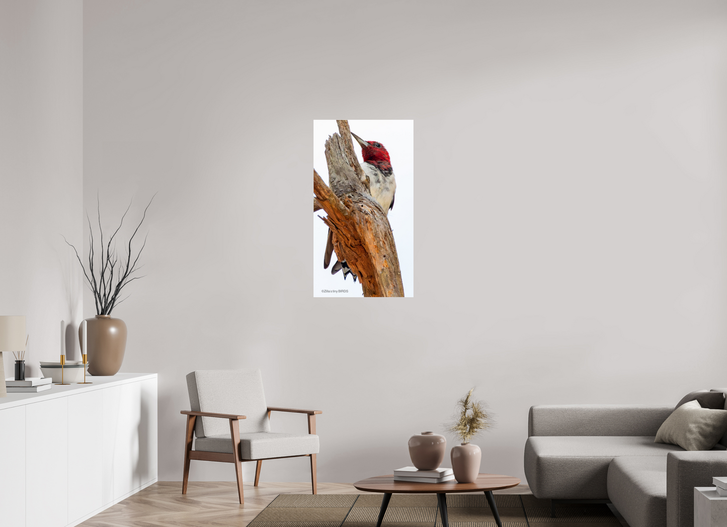 22.5 x 40″, Photo Print Under Acrylic Glass Zillas Zoom Image 439