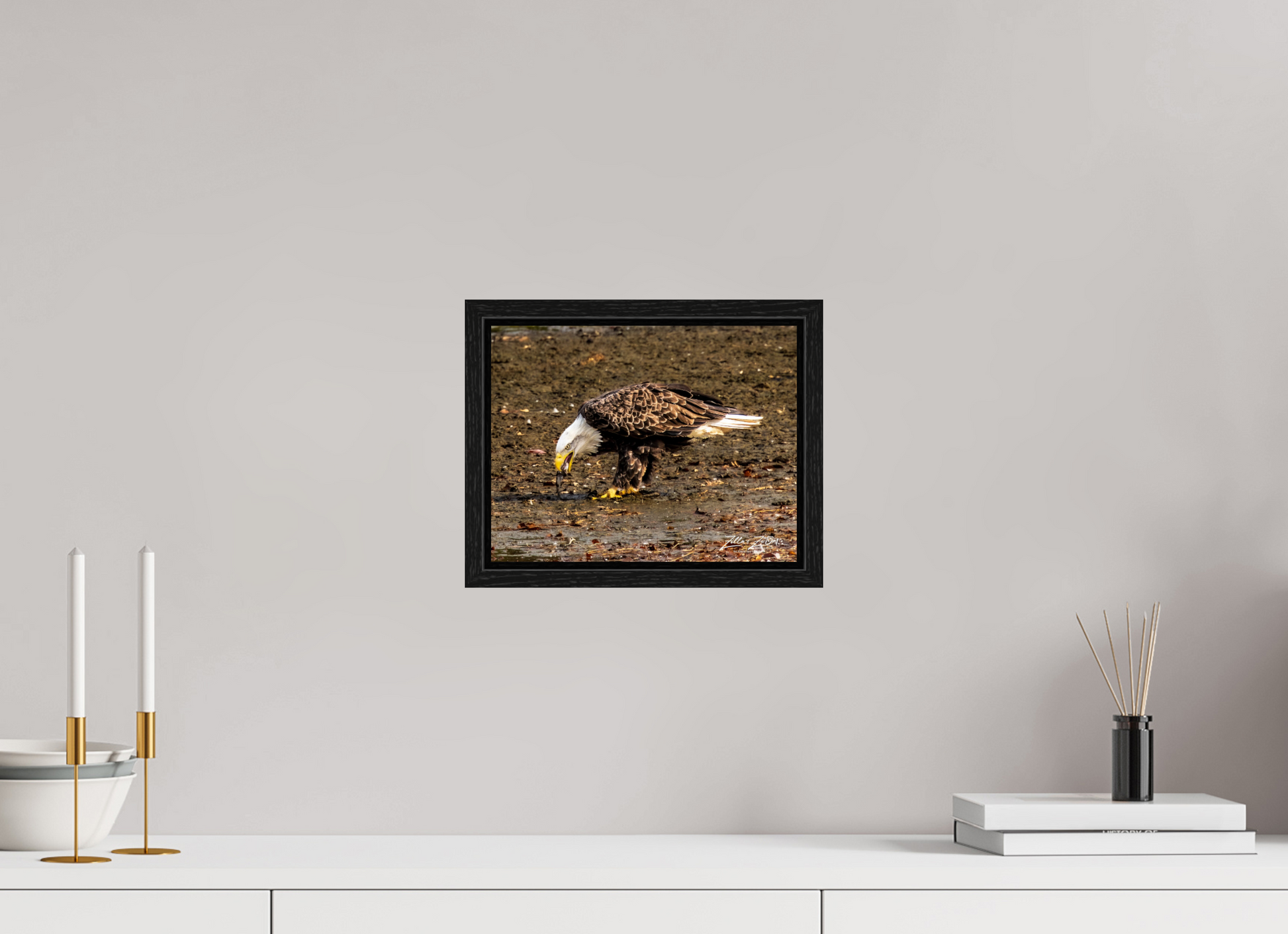 10.4 x 8″, Floater Frame Zillas Zoom Image 306