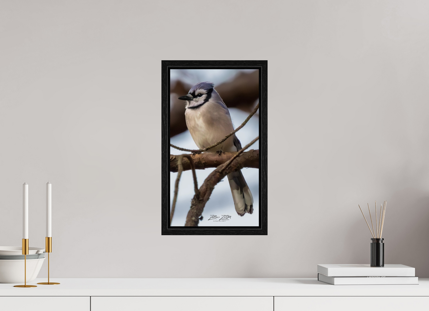 9 x 16″, Floater Frame Zillas Zoom Image 446