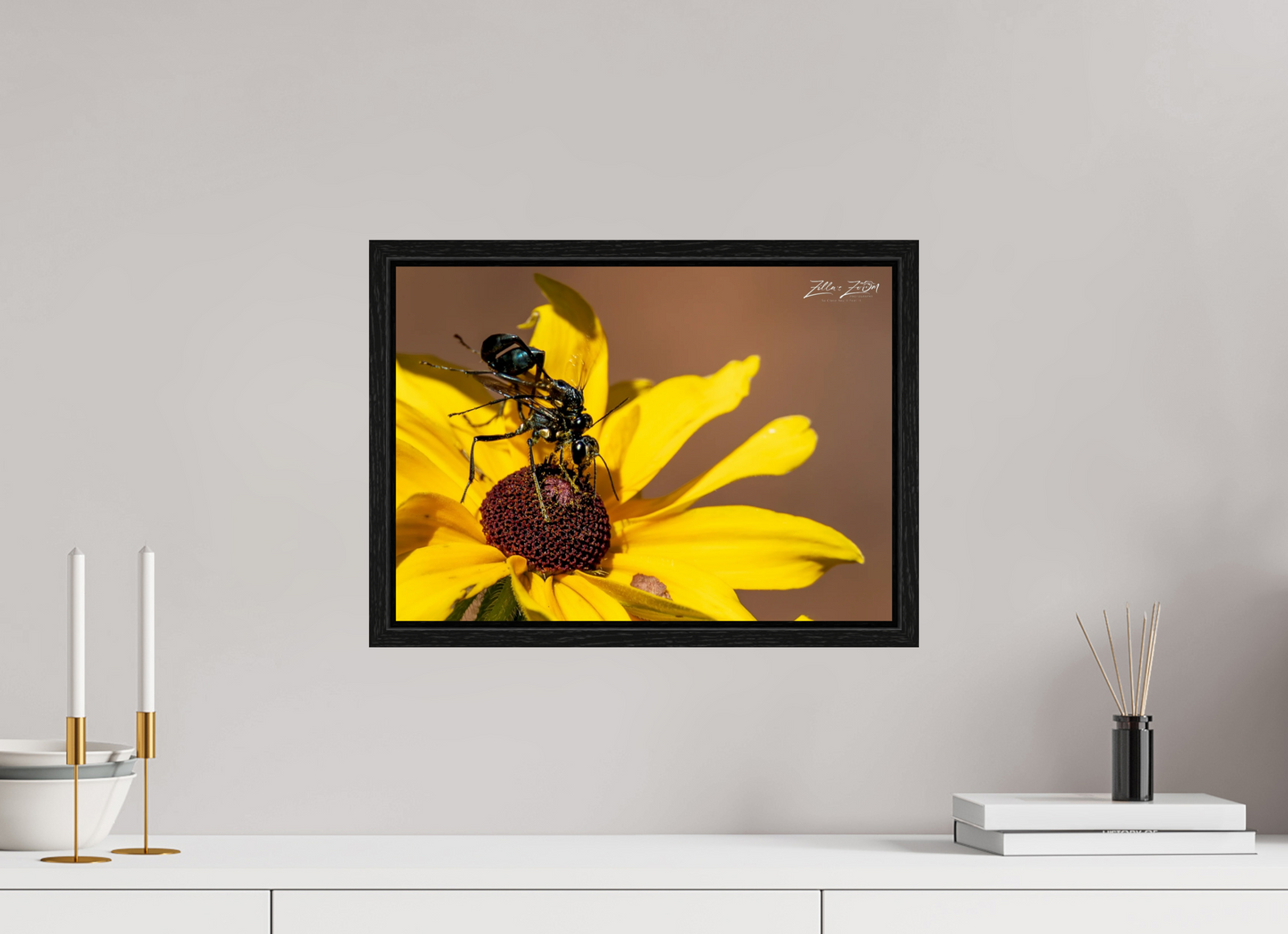 16.8 x 12″, Floater Frame Zillas Zoom Image 104