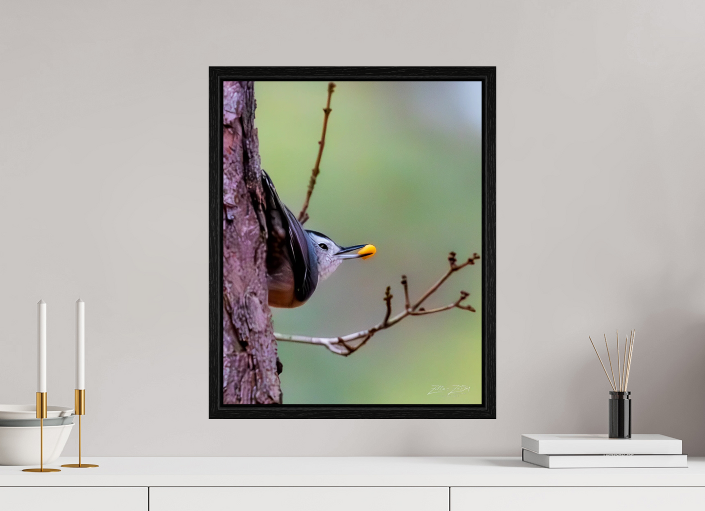 16 x 20″, Floater Frame Zillas Zoom Image 503