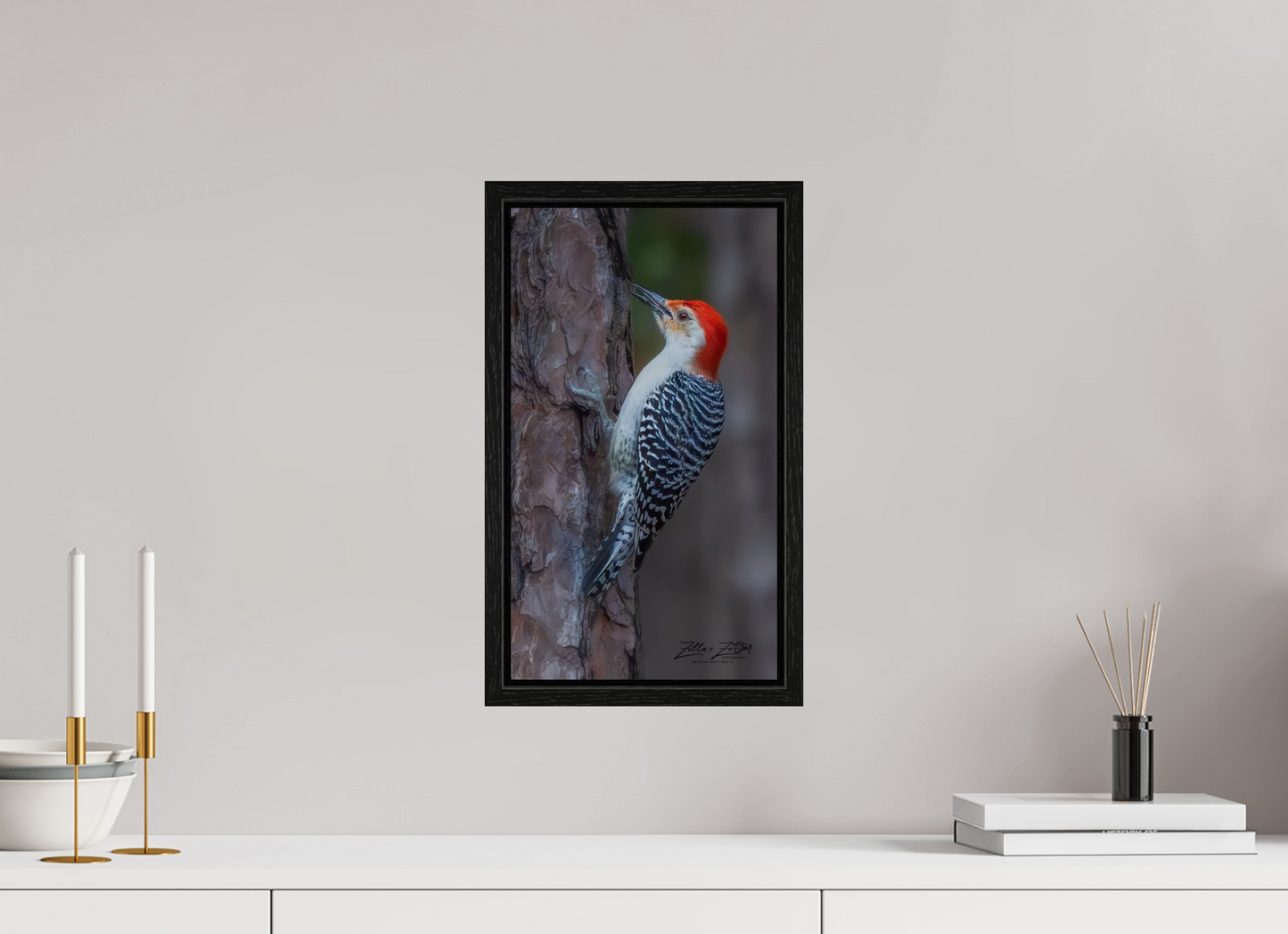 9 x 16″, Floater Frame Zillas Zoom Image 445