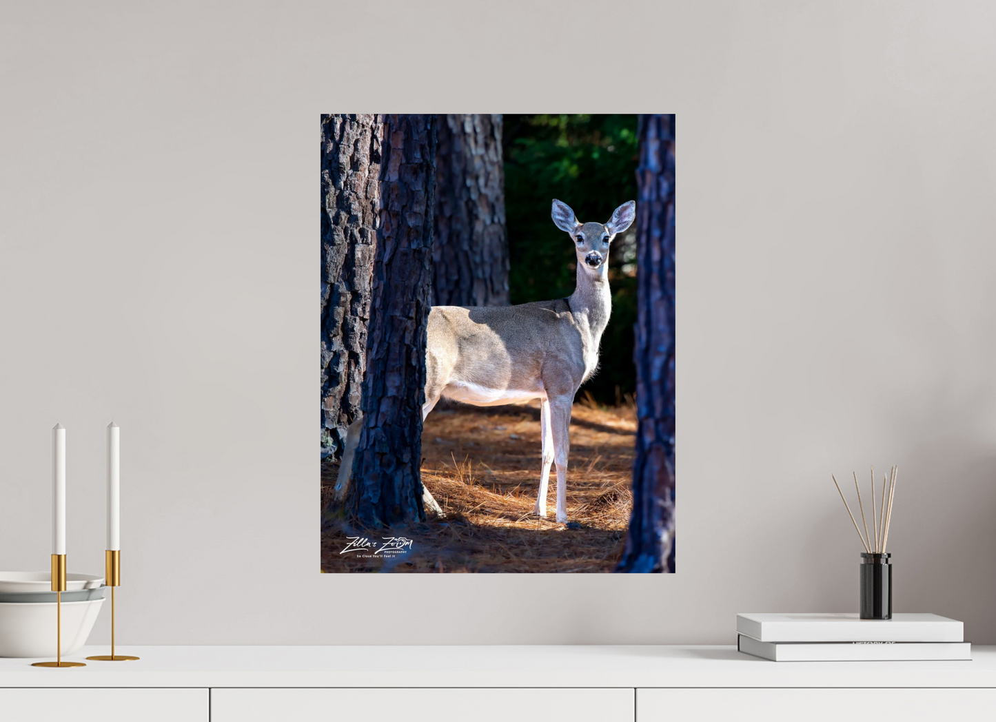 16 x 20.7″, Photo Print On Fuji Crystal DP II Zillas zoom image 154