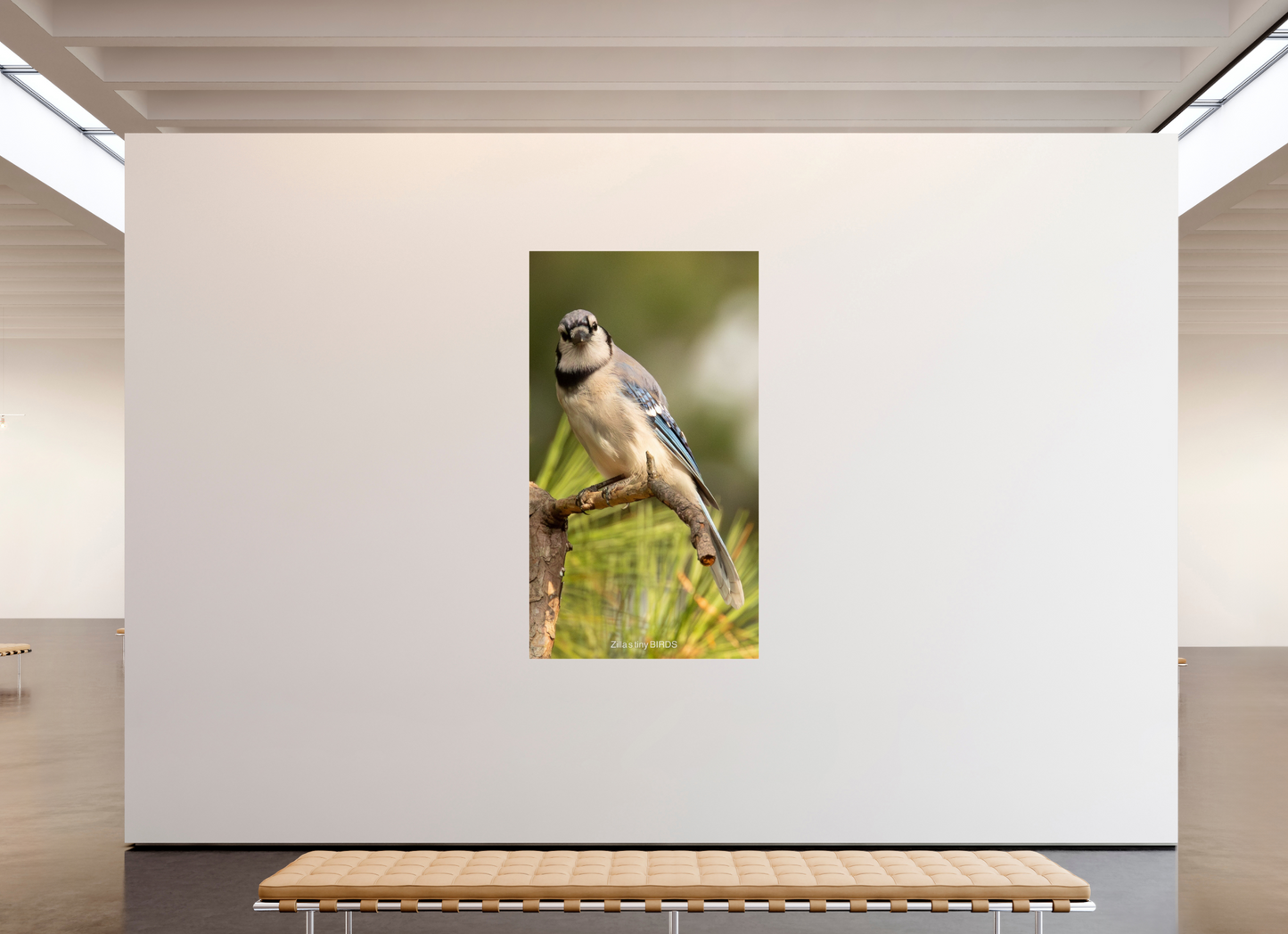 45 x 80″, Photo Print Under Acrylic Glass Zillas Zoom Image 494