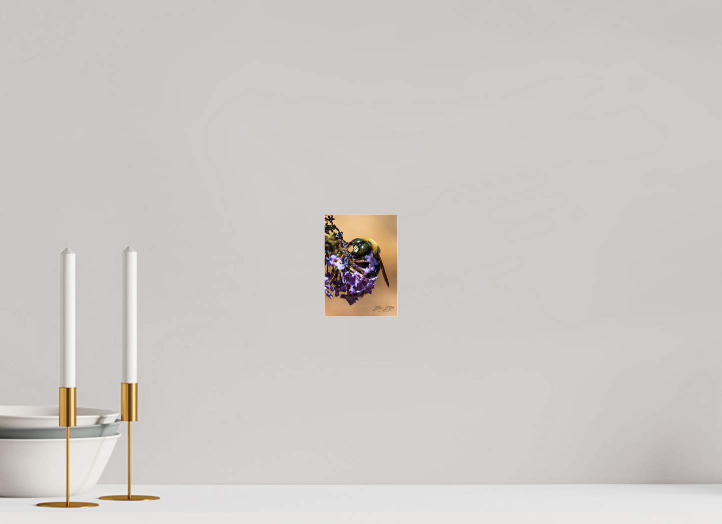 4 x 5.6″, Photo Print Under Acrylic Glass Zillas Zoom Image 107