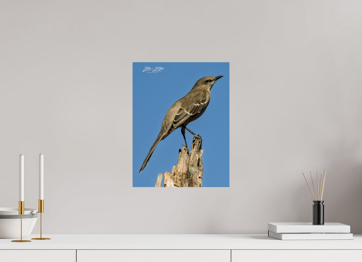 12 x 15.5″, Photo Print On Fuji Crystal DP II Zillas Zoom Image 404