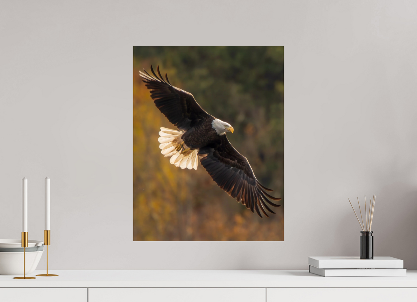 16 x 20.7″, Photo Print Under Acrylic Glass Zillas Zoom Image 495