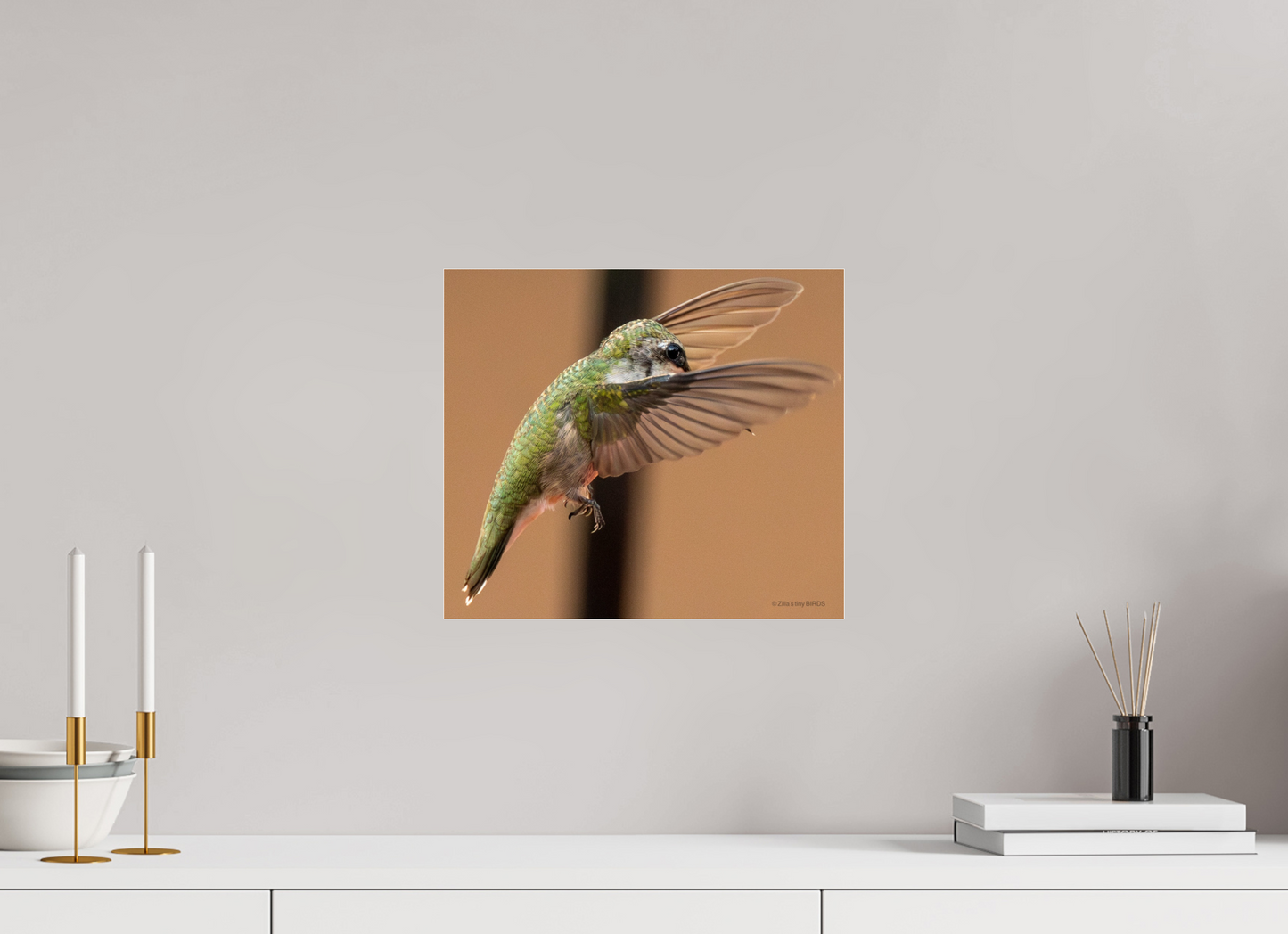 13.7 x 12″, Photo Print Under Acrylic Glass Zillas Zoom Image 376