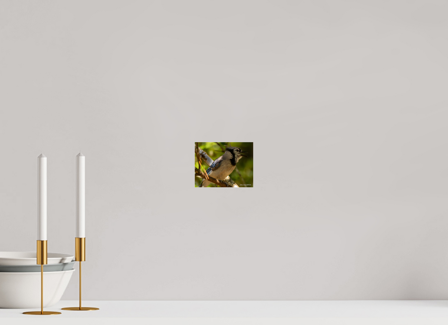 5.2 x 4″, Photo Print Under Acrylic Glass Zillas Zoom Image 378