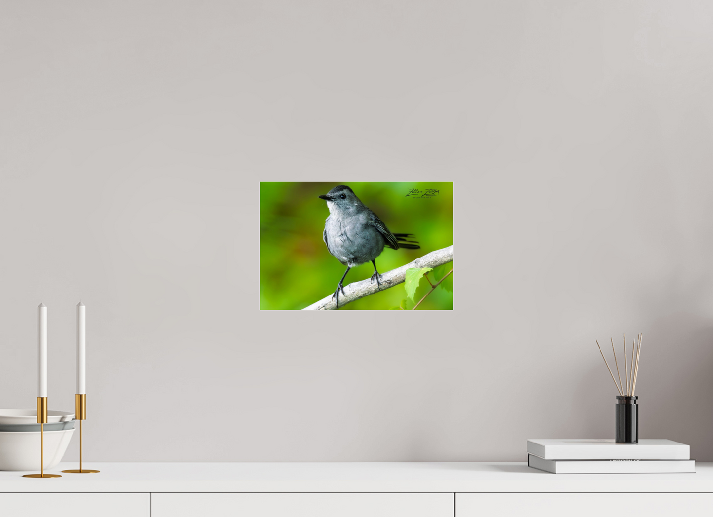 12 x 8″, Photo Print Under Acrylic Glass Zillas Zoom Image 305